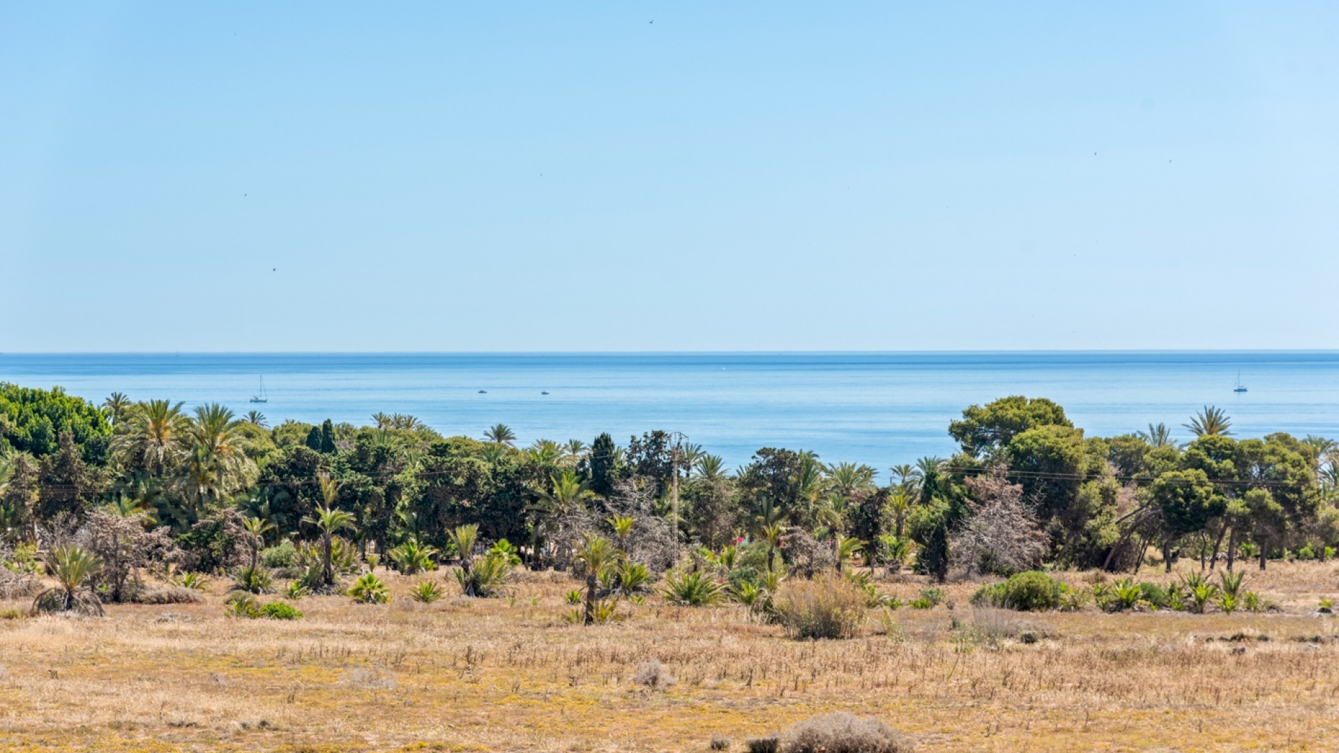 Återförsäljning - Lägenhet - Torrevieja