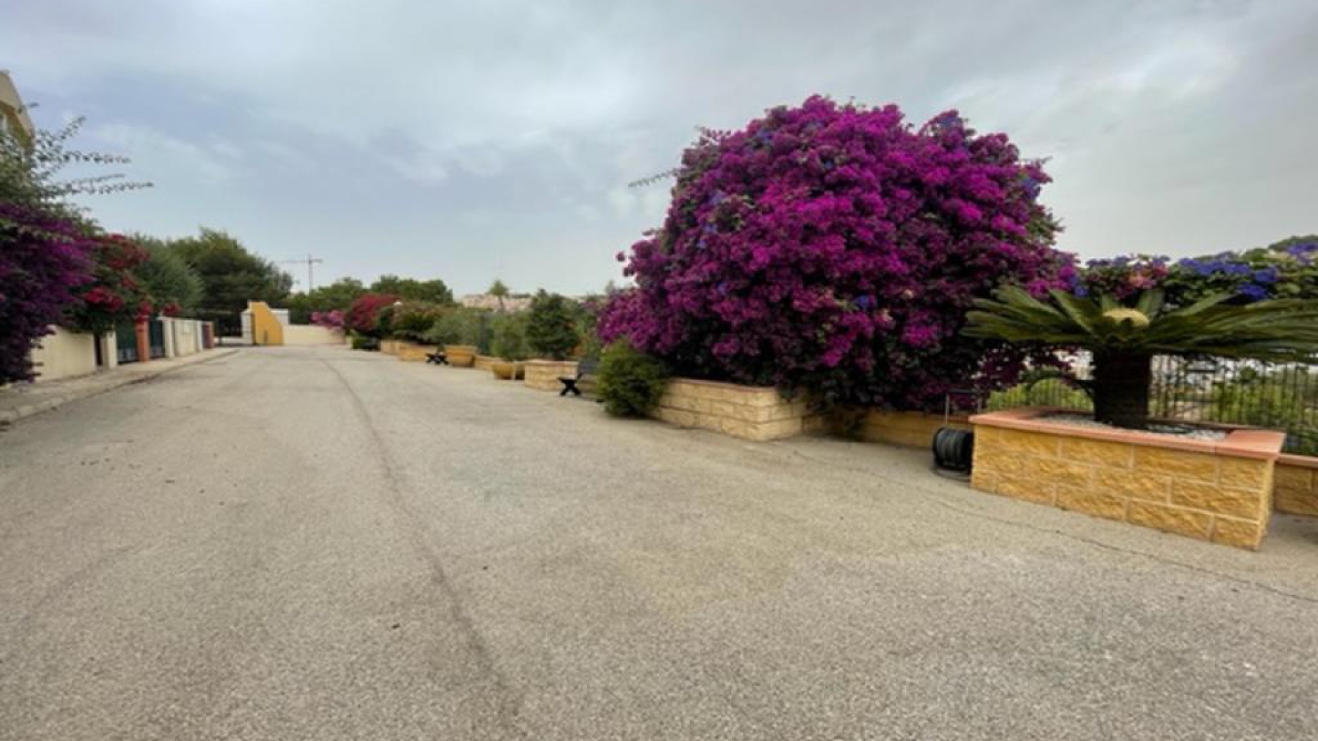 Återförsäljning - Lägenhet - Villamartin - Costa Paraiso