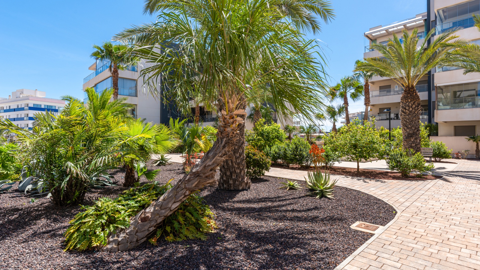 Återförsäljning - Lägenhet - Villamartin - Los Dolses