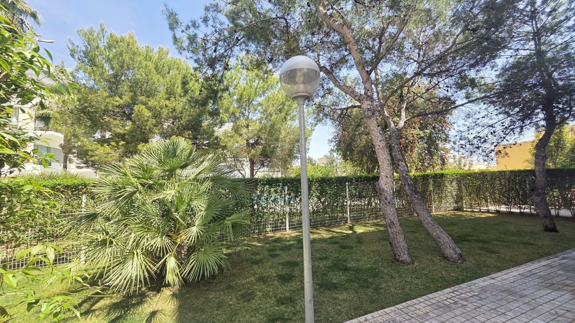 Återförsäljning - Lägenhet - Villamartin - Los Dolses