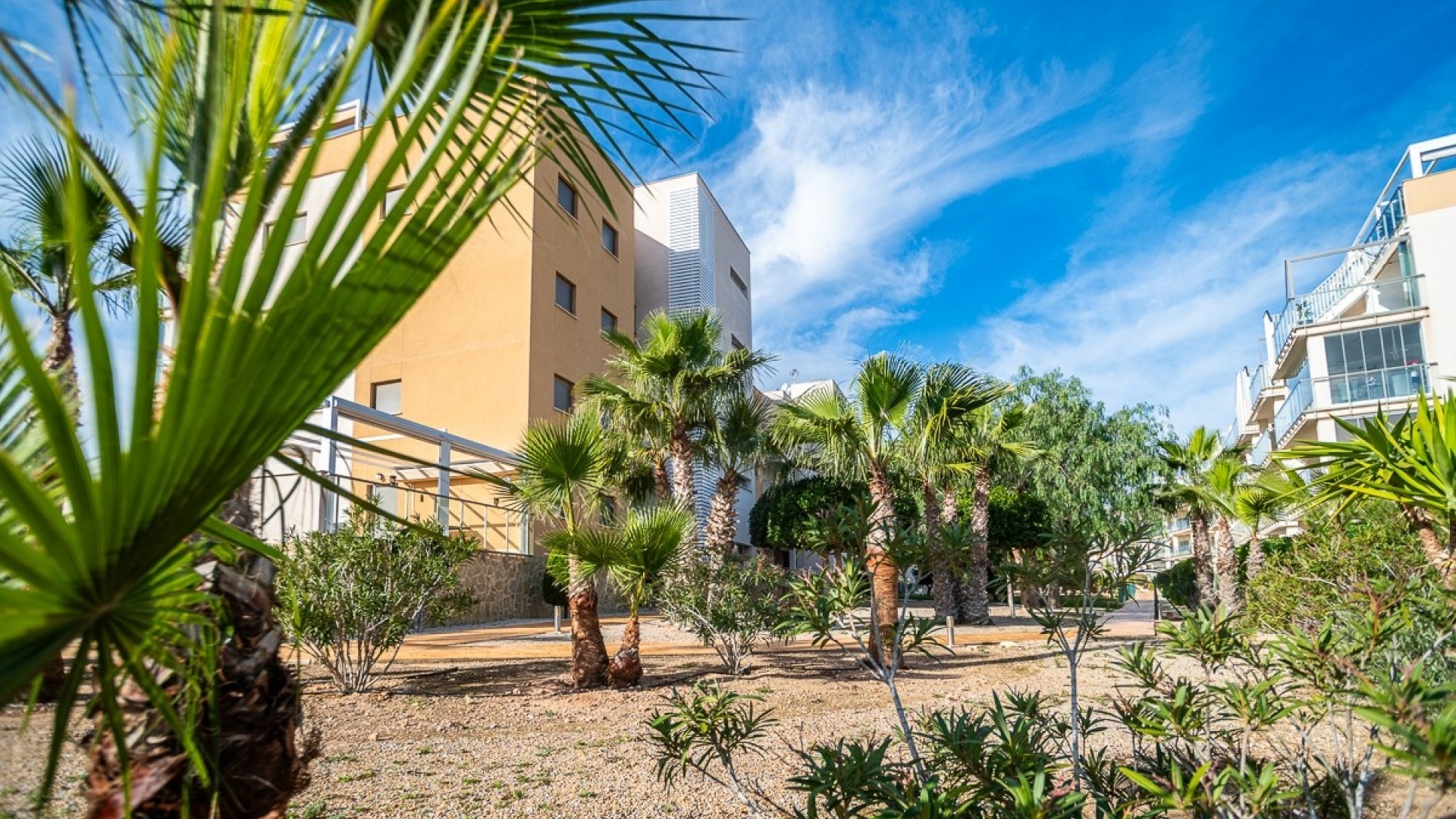 Återförsäljning - Lägenhet - Villamartin - Los Dolses