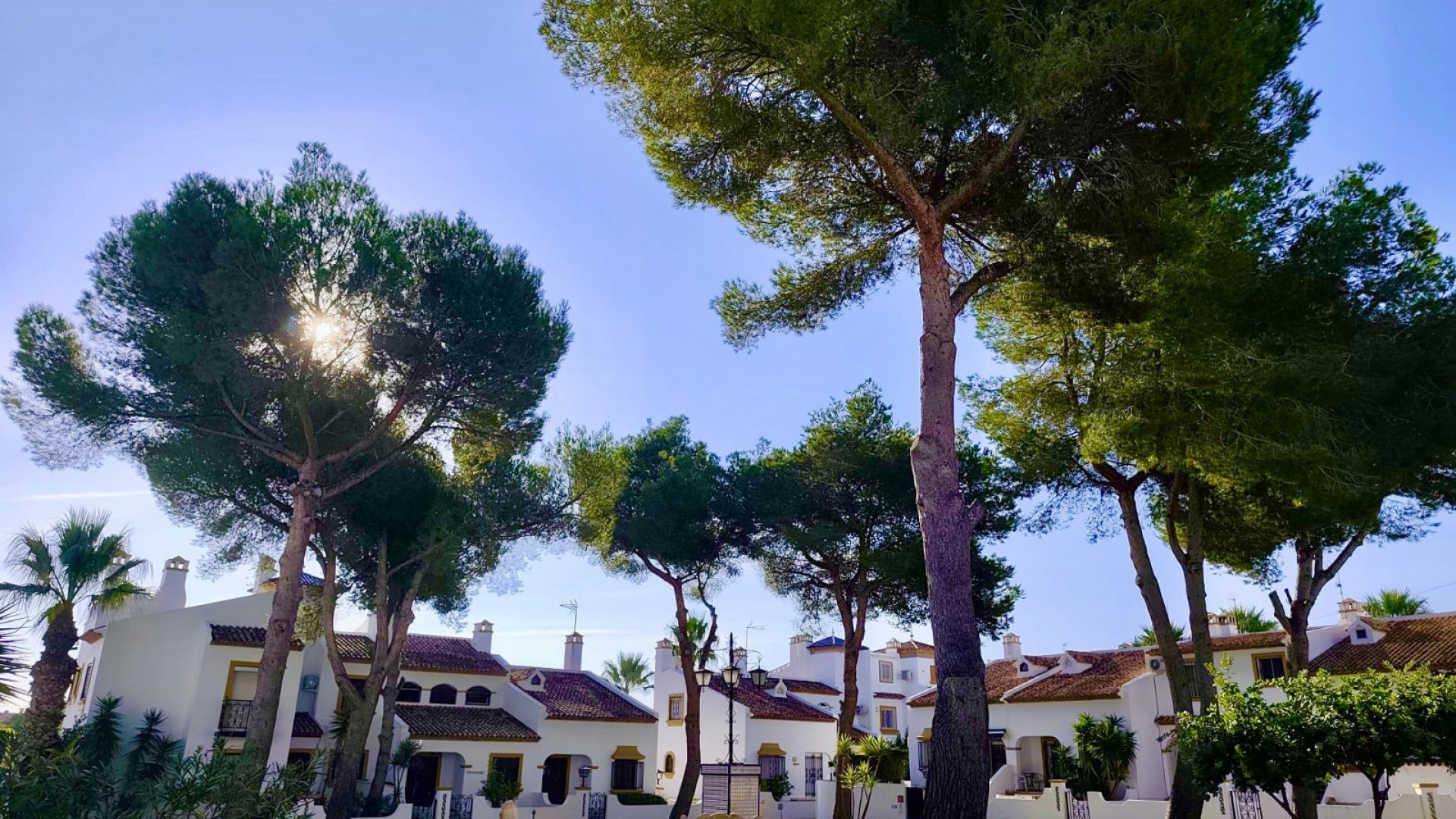 Återförsäljning - Lägenhet - Villamartin - valencias