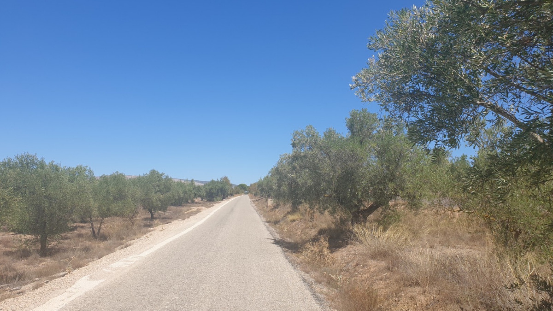 Återförsäljning - Landa - Biar - Biar Centro