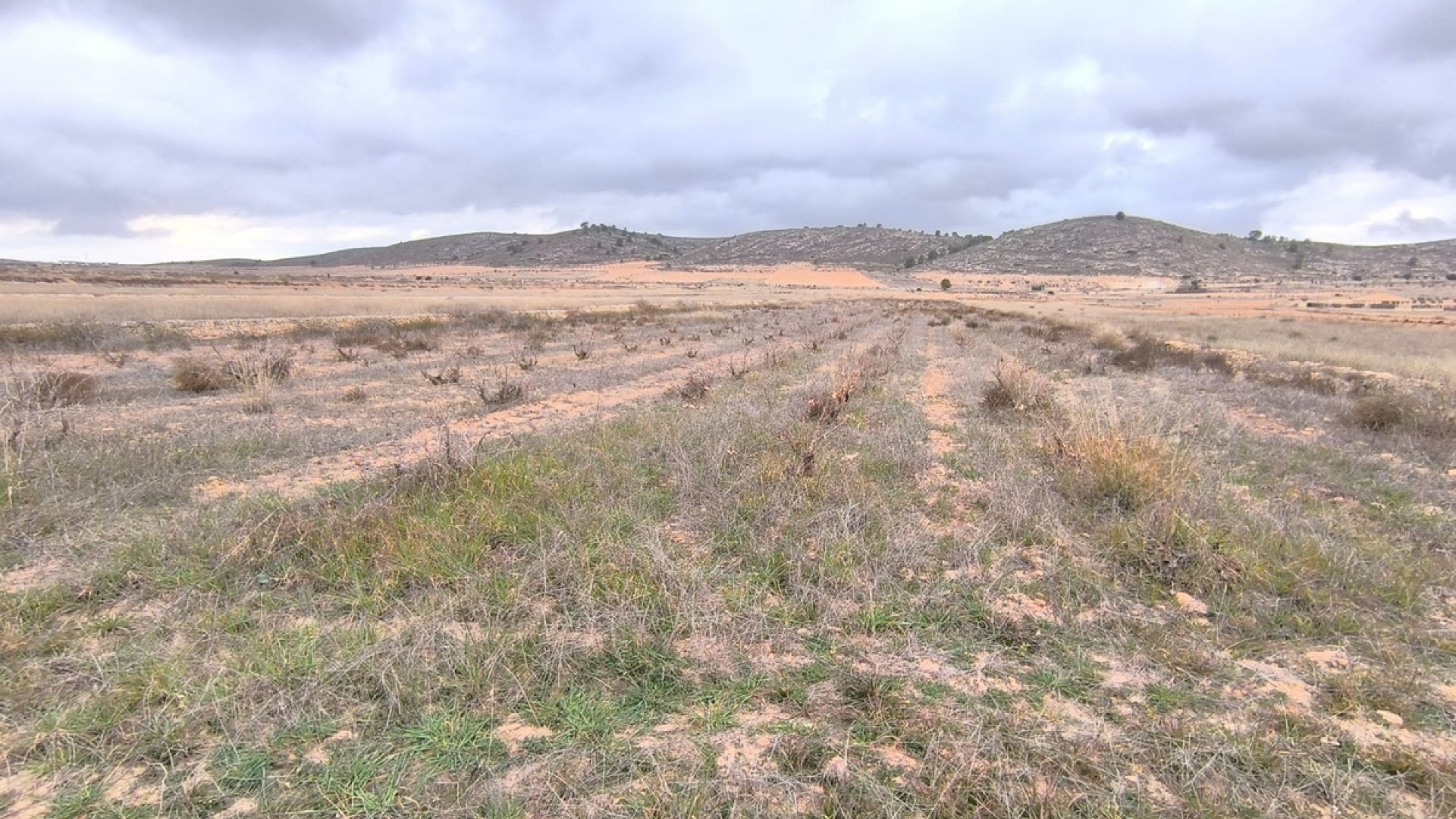 Återförsäljning - Landa - Jalon - La Solana