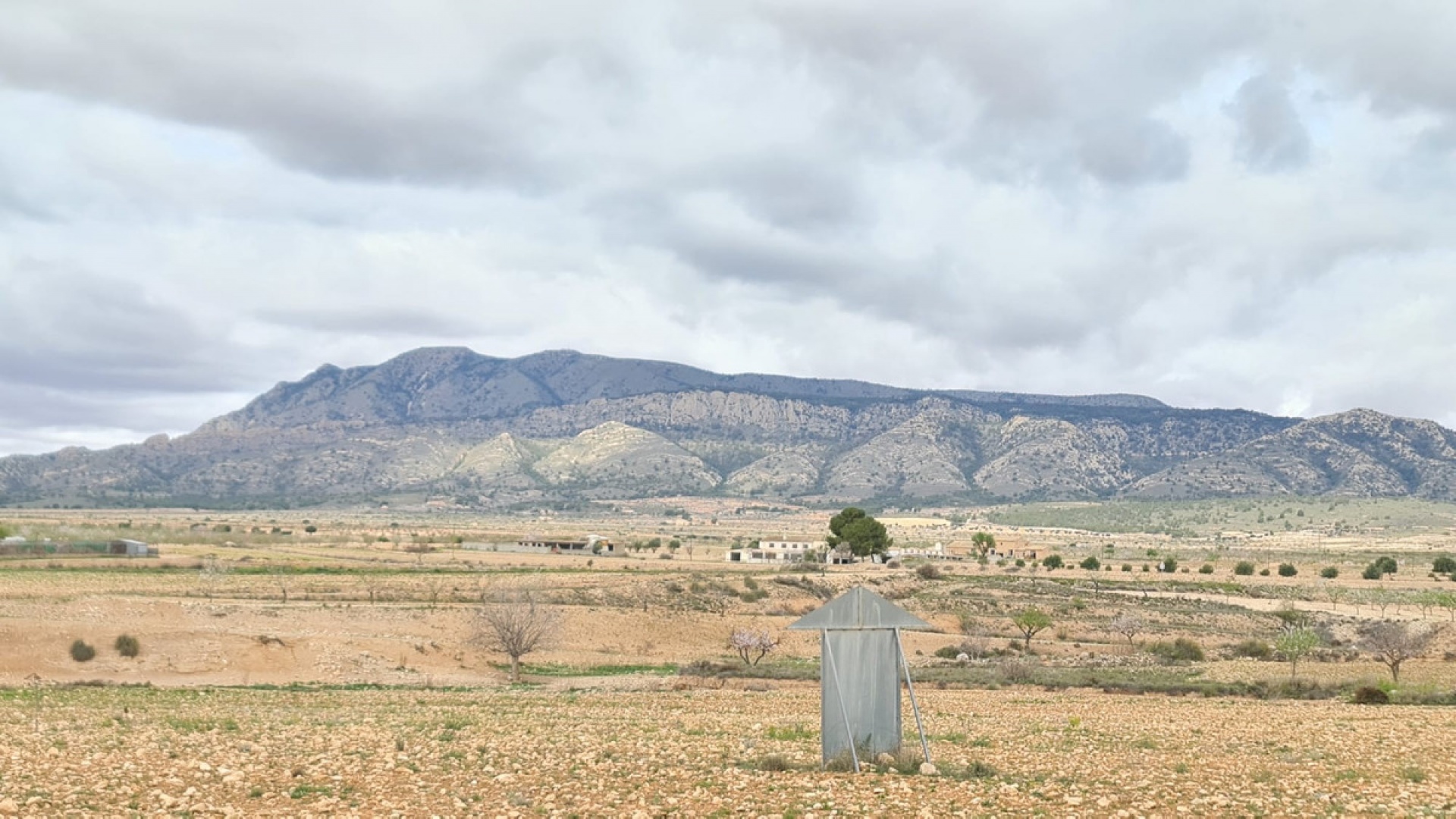 Återförsäljning - Landa - Jumilla - Torre del Rico