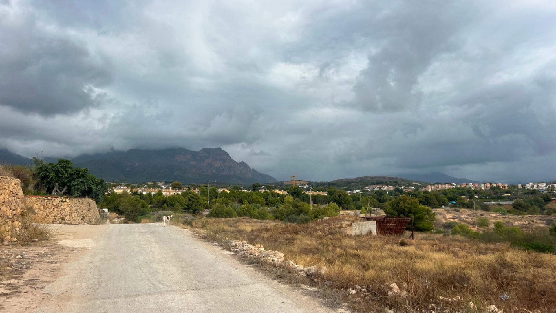 Återförsäljning - Landa - L'alfas Del Pi - L'Alfás del Pi Centro