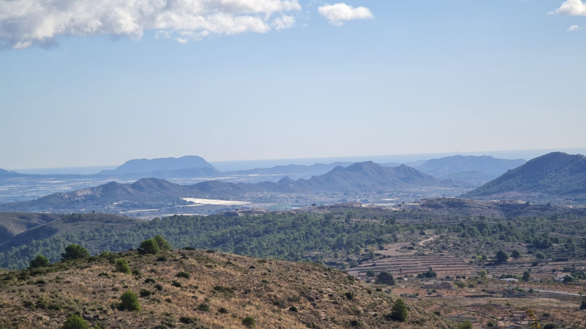 Återförsäljning - Landa - La Romana - La Romana Centro