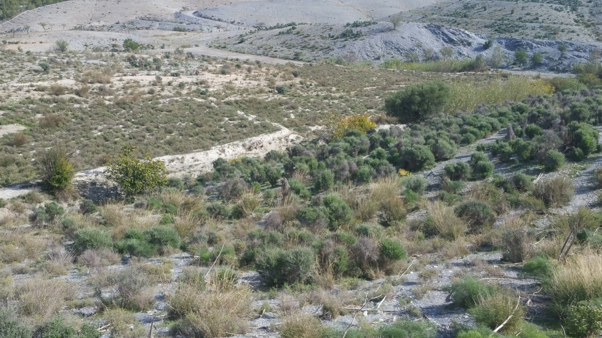 Återförsäljning - Landa - Lorca - Lorca Centro