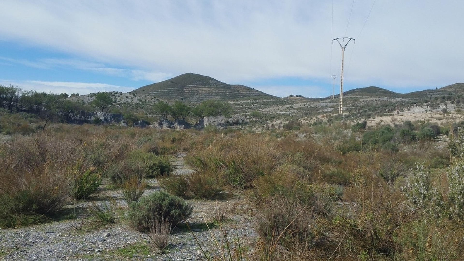 Återförsäljning - Landa - Lorca - Lorca Centro