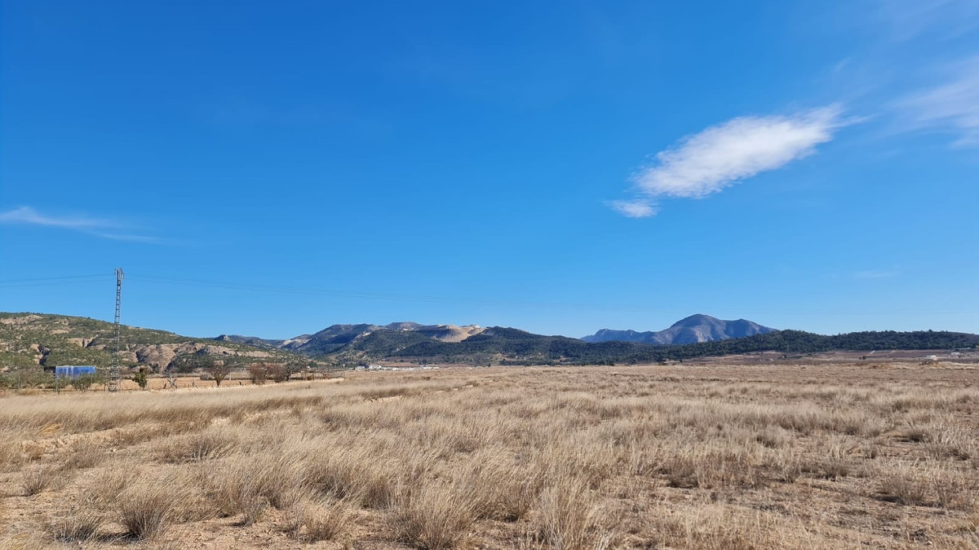 Återförsäljning - Landa - Pinoso - Pinoso Centro