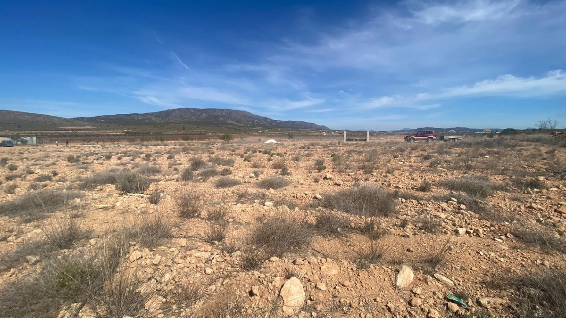 Återförsäljning - Landa - Pinoso - Pinoso Centro