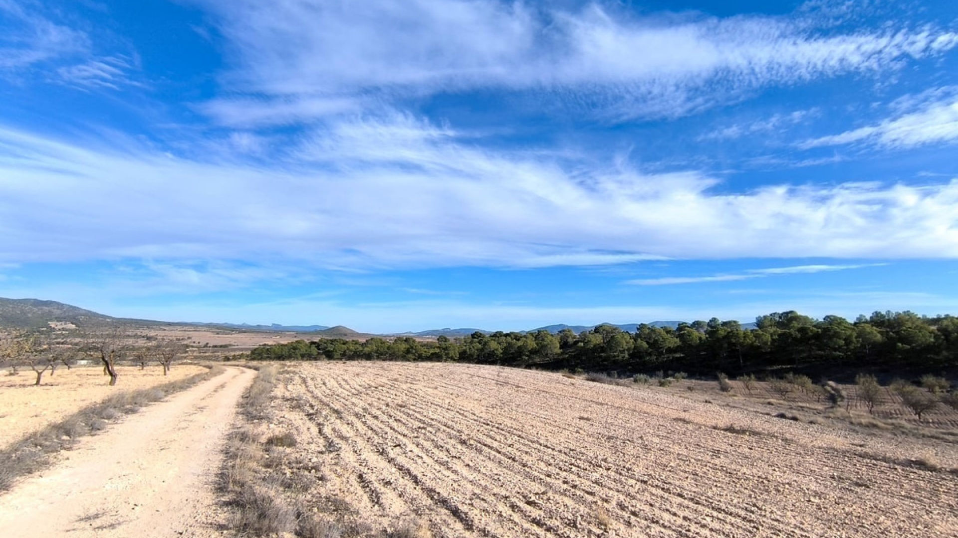 Återförsäljning - Landa - Yecla - Raspay