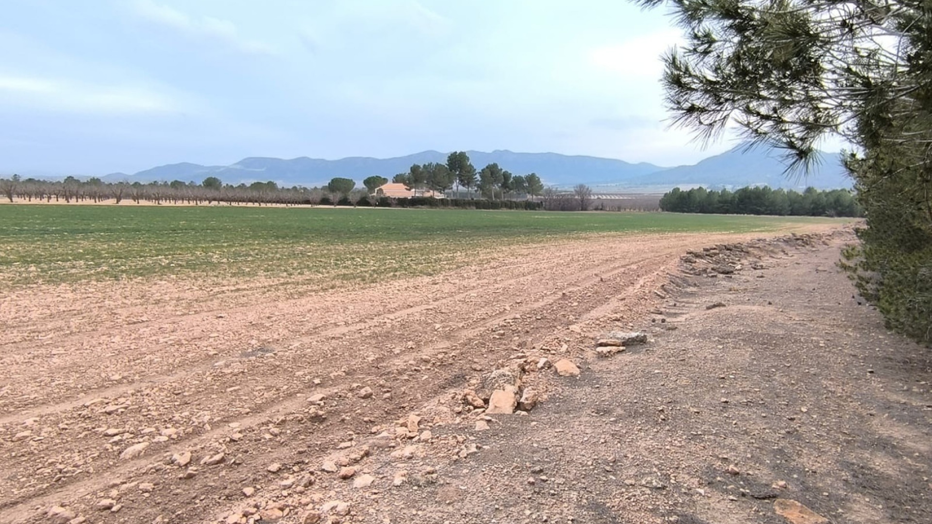 Återförsäljning - Landa - Yecla - Yecla Centro