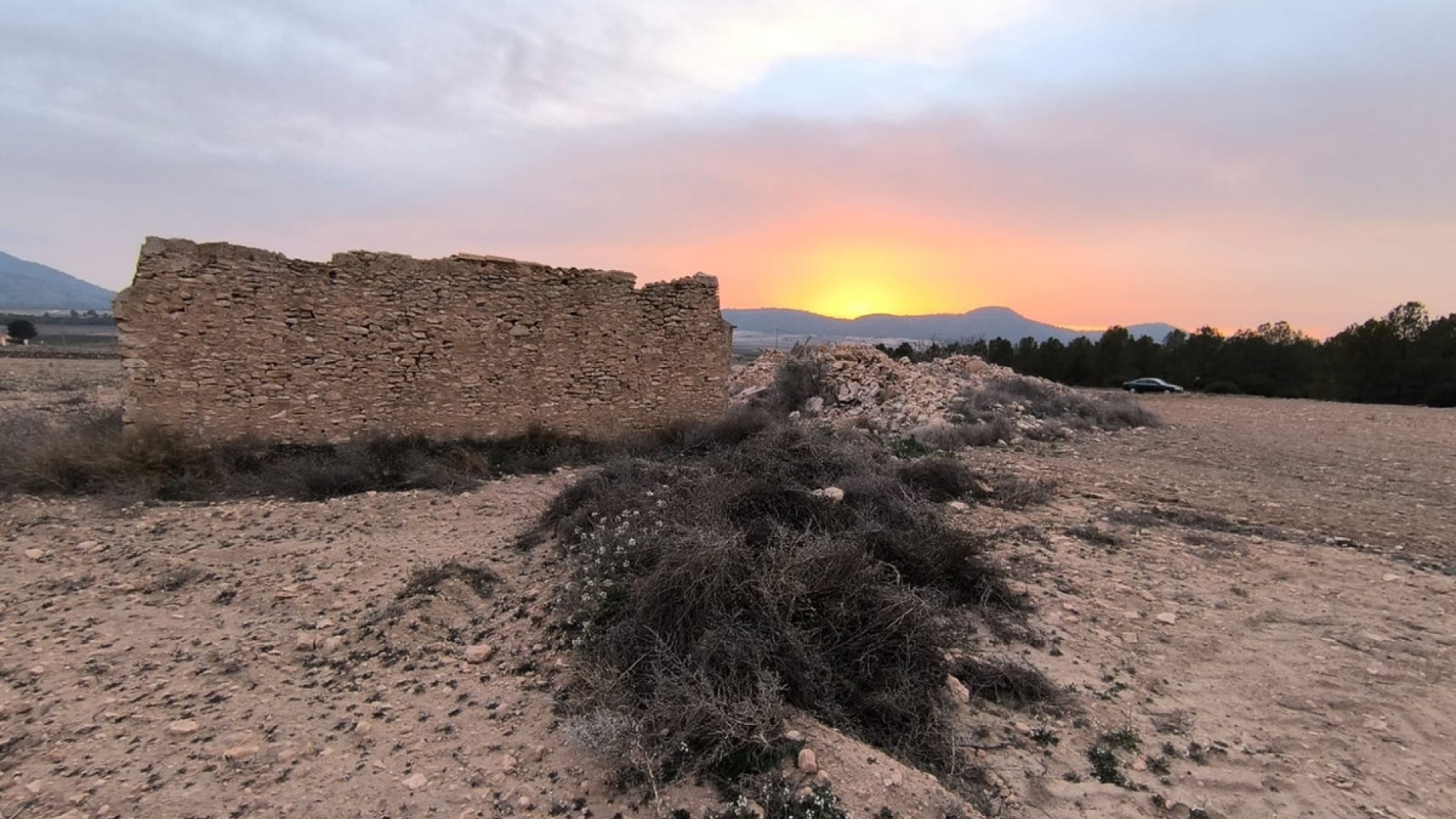 Återförsäljning - Landa - Yecla - Yecla Centro