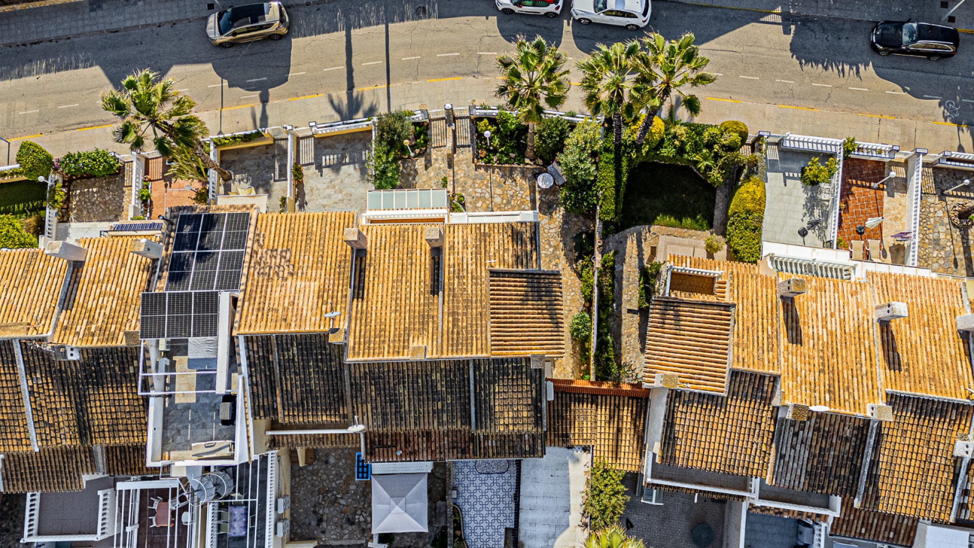 Återförsäljning - Radhus - Cabo Roig - Beachside