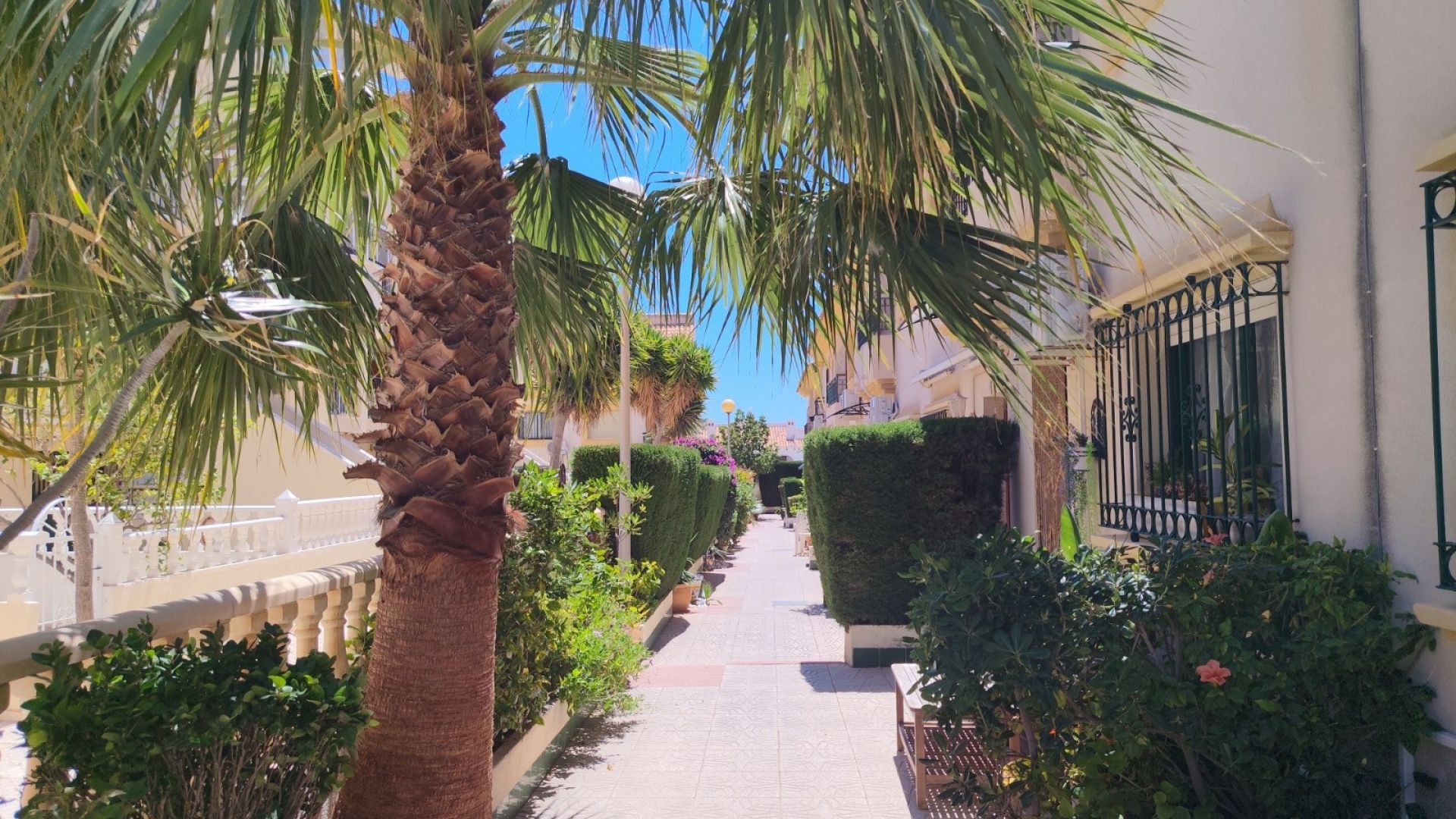 Återförsäljning - Radhus - La Zenia - Res. Sal y Mar