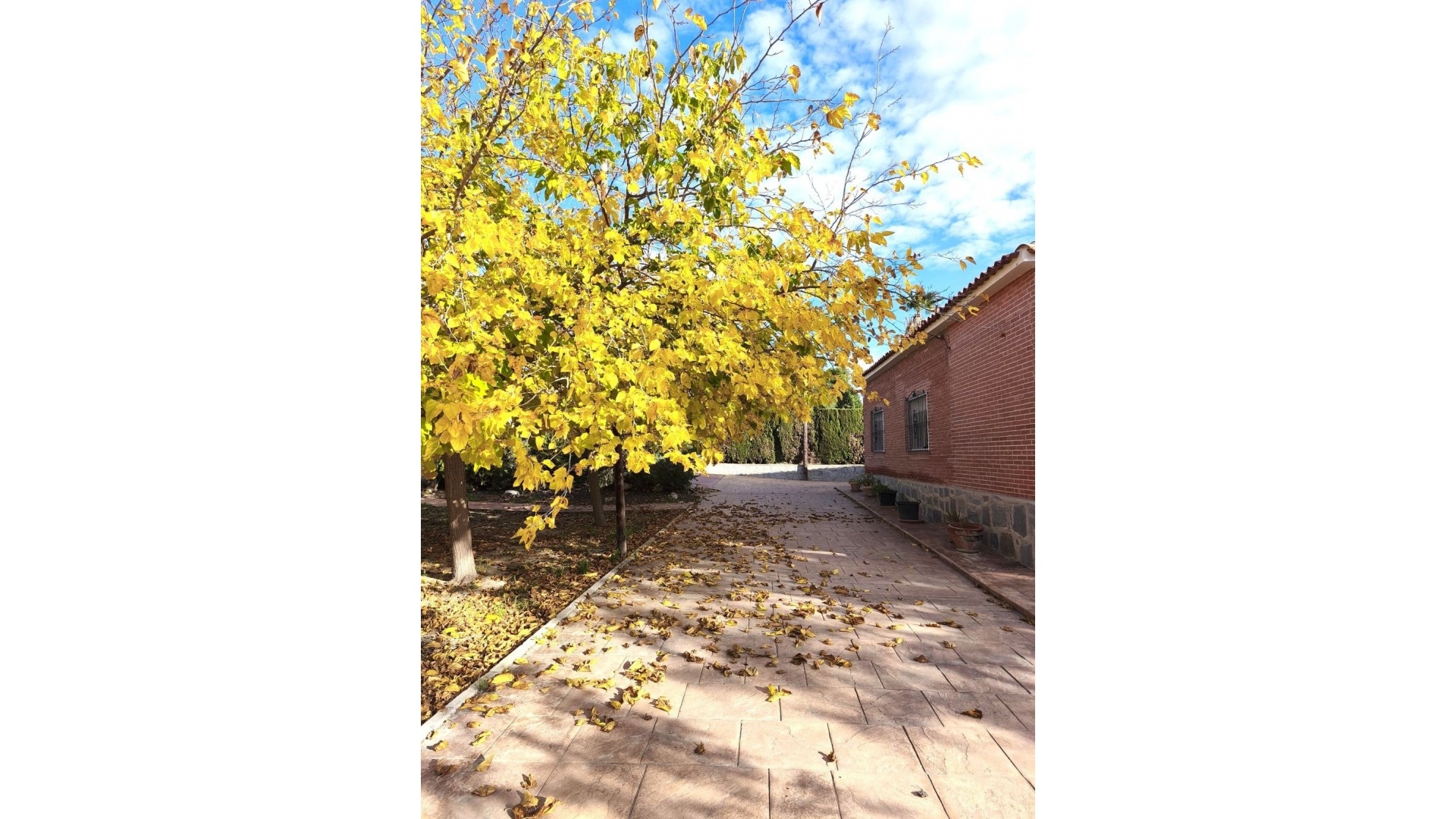 Återförsäljning - Villa - Aguas de Busot - Aigües - Aguas de Busot - Aigües Centro