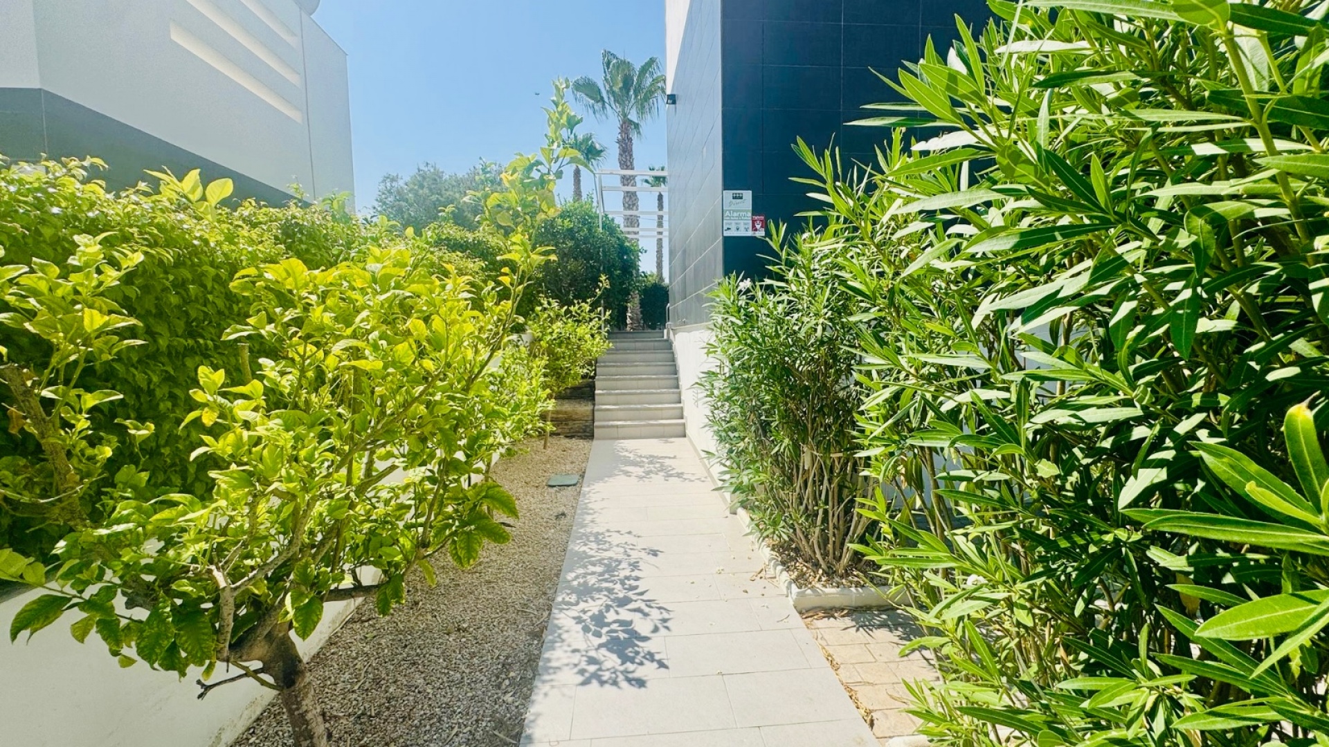 Återförsäljning - Villa - Algorfa - La Finca Golf Resort