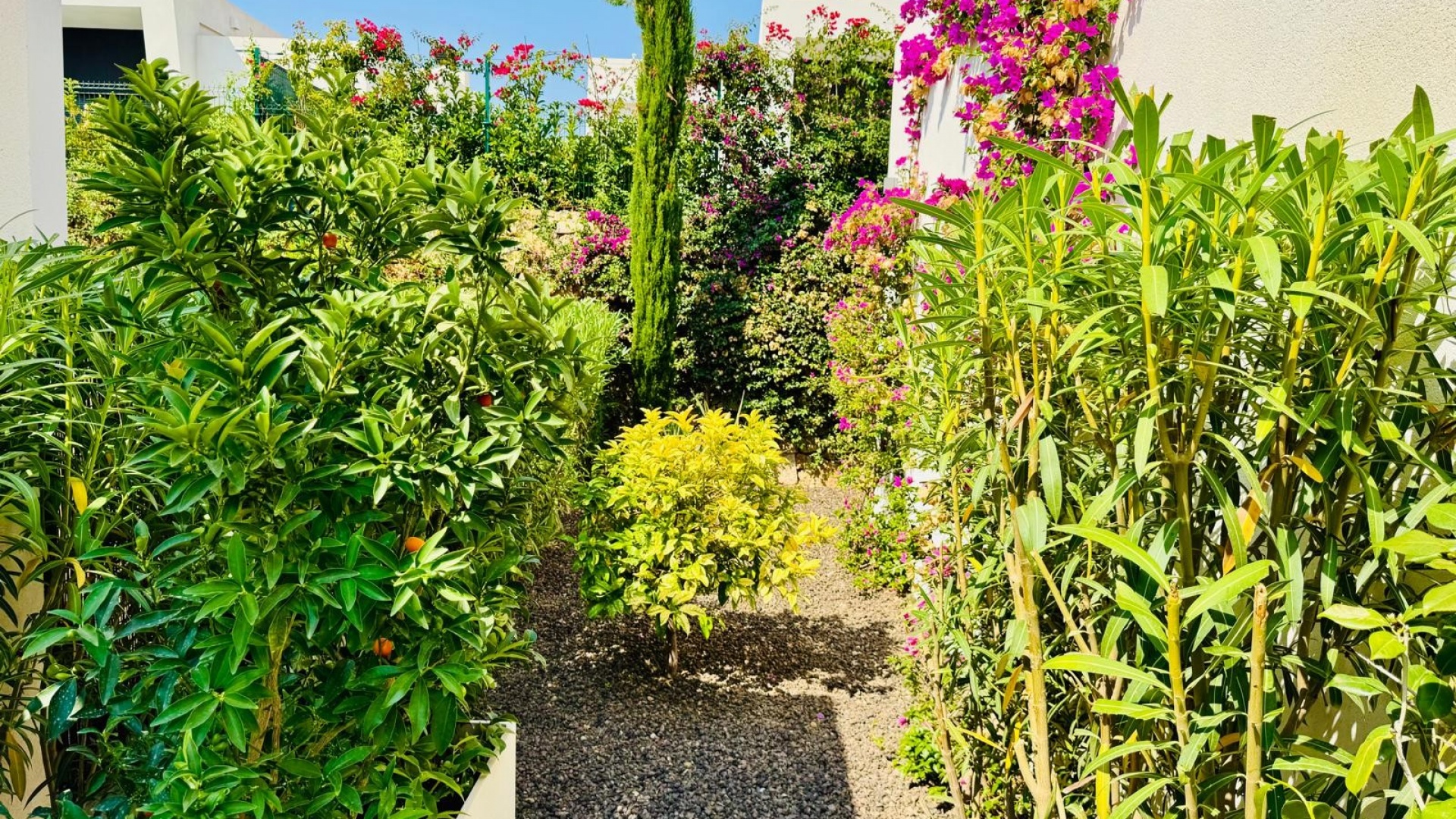 Återförsäljning - Villa - Algorfa - La Finca Golf Resort