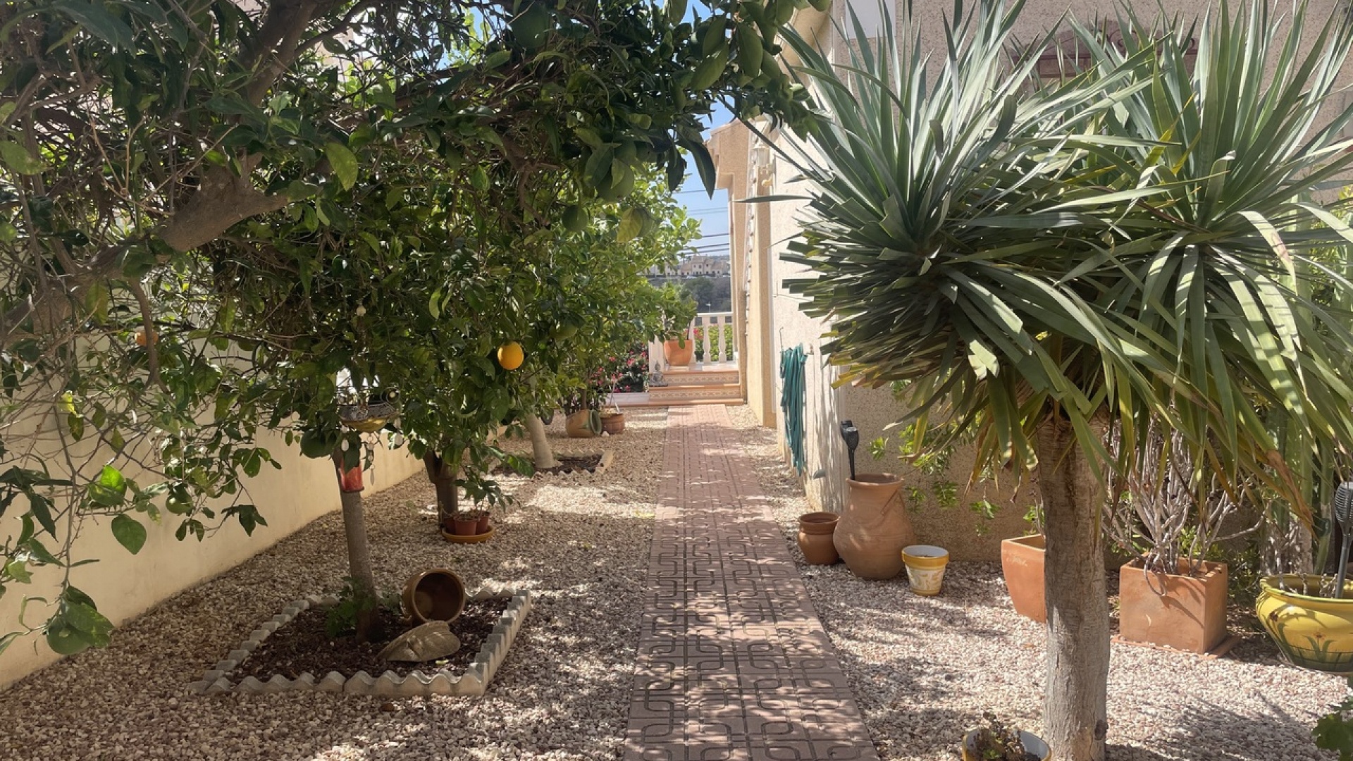 Återförsäljning - Villa - Algorfa - Montemar