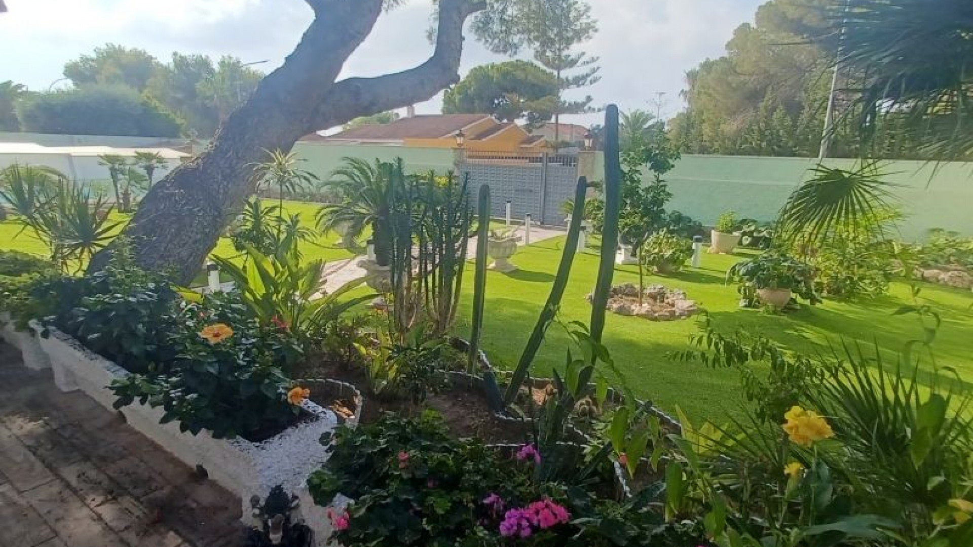 Återförsäljning - Villa - Campoamor - dehesa de campoamor