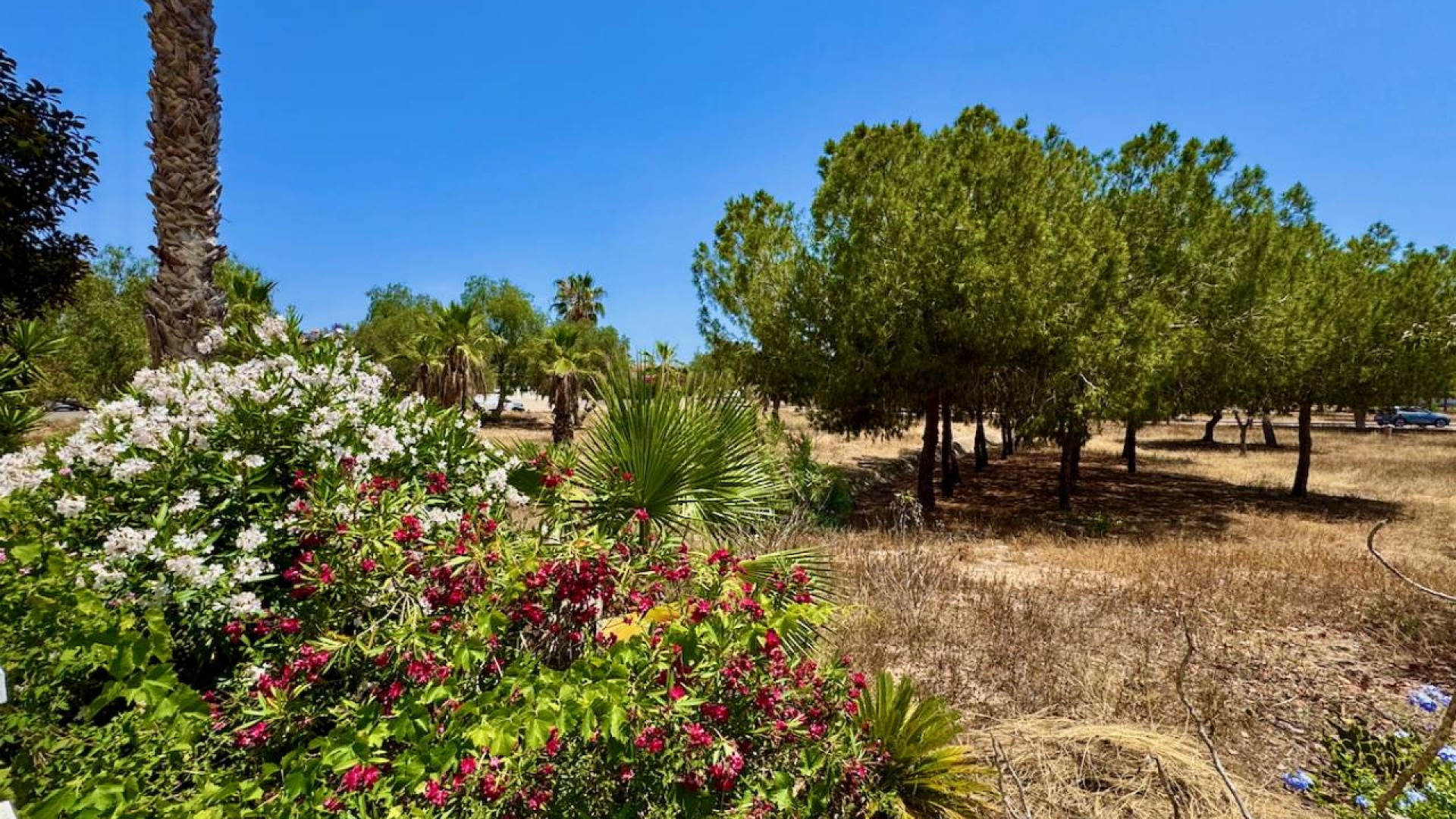 Återförsäljning - Villa - Ciudad Quesada - Dona Pepa