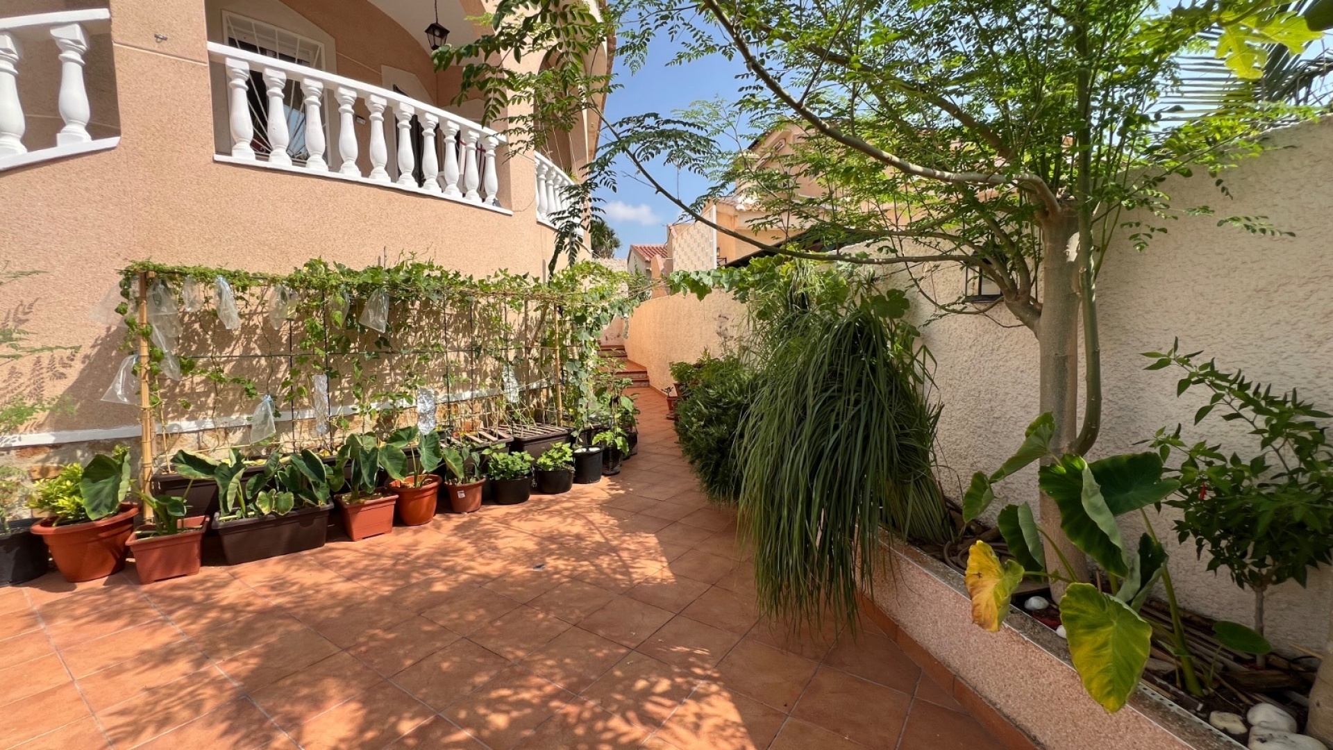 Återförsäljning - Villa - Ciudad Quesada