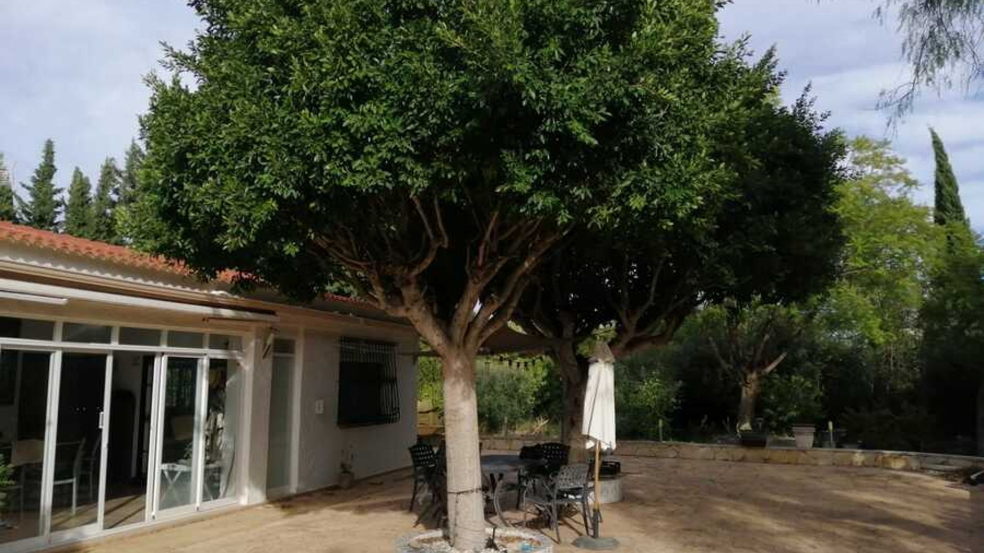 Återförsäljning - Villa - Crevillente - crevillente