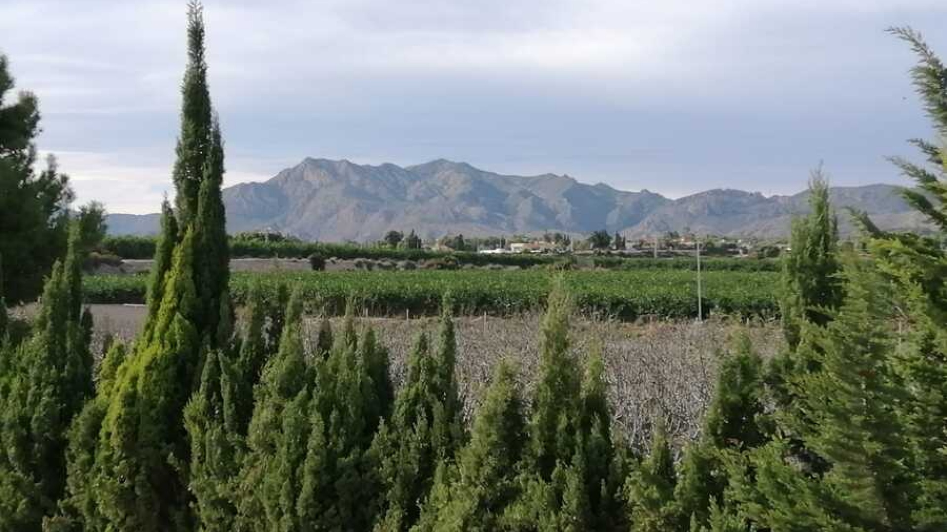 Återförsäljning - Villa - Crevillente - crevillente