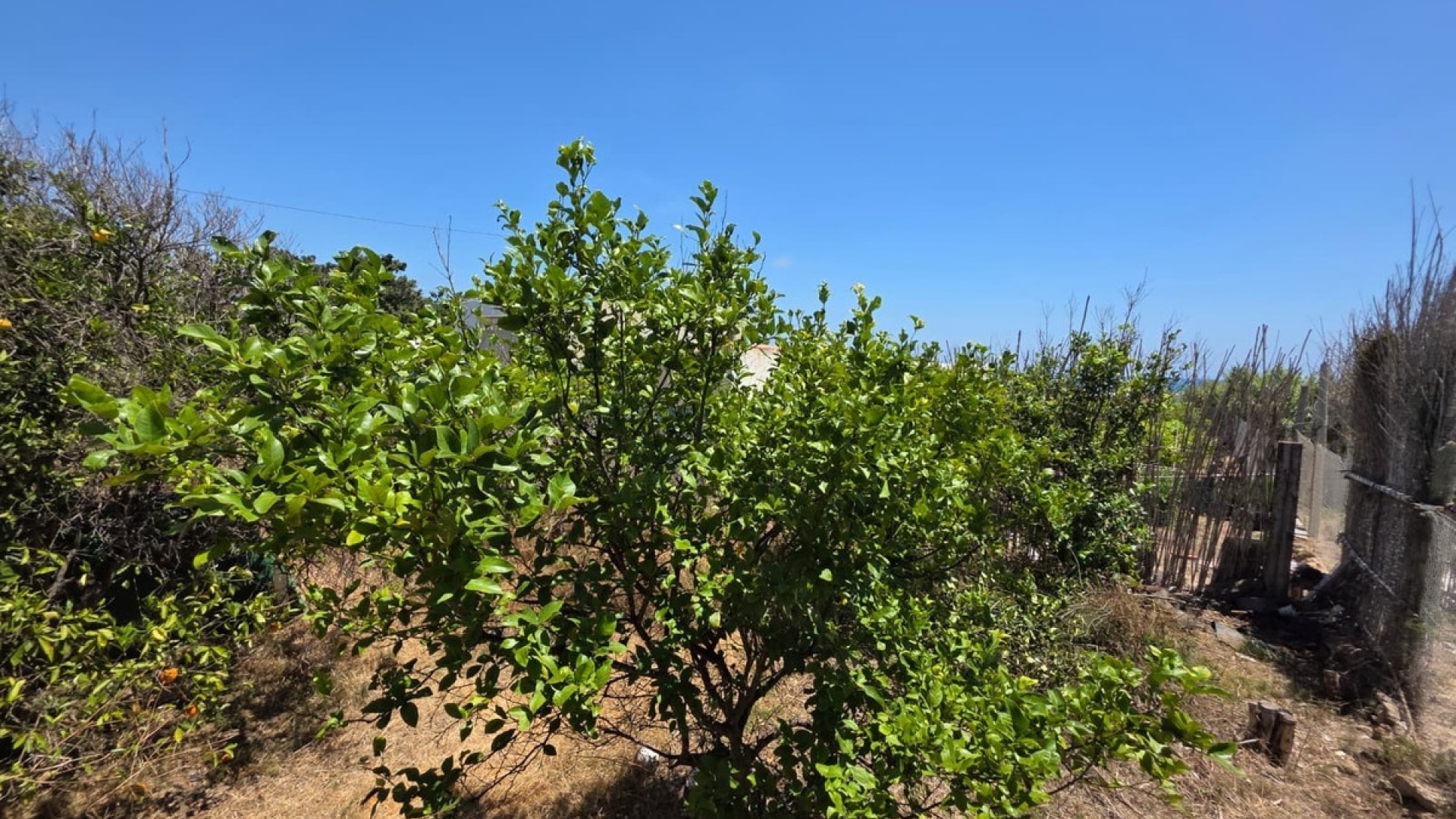 Återförsäljning - Villa - Guardamar del Segura - Guardamar del Segura Centro