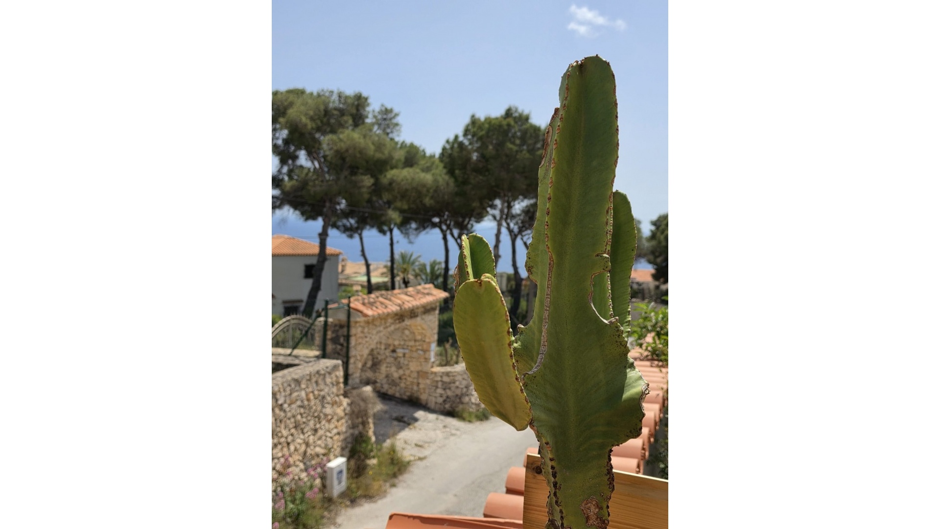 Återförsäljning - Villa - Javea - Jávea - Xàbia Centro