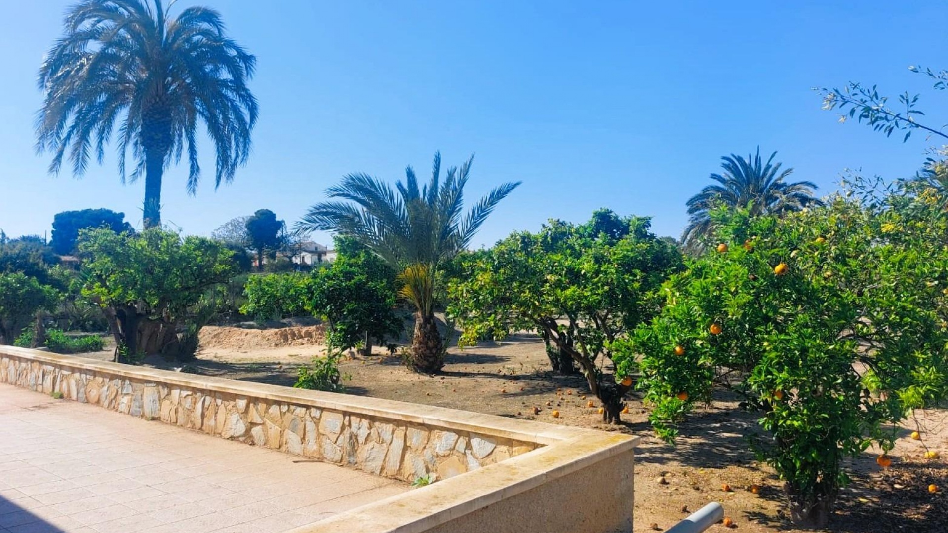 Återförsäljning - Villa - La Marina - beachside la marina