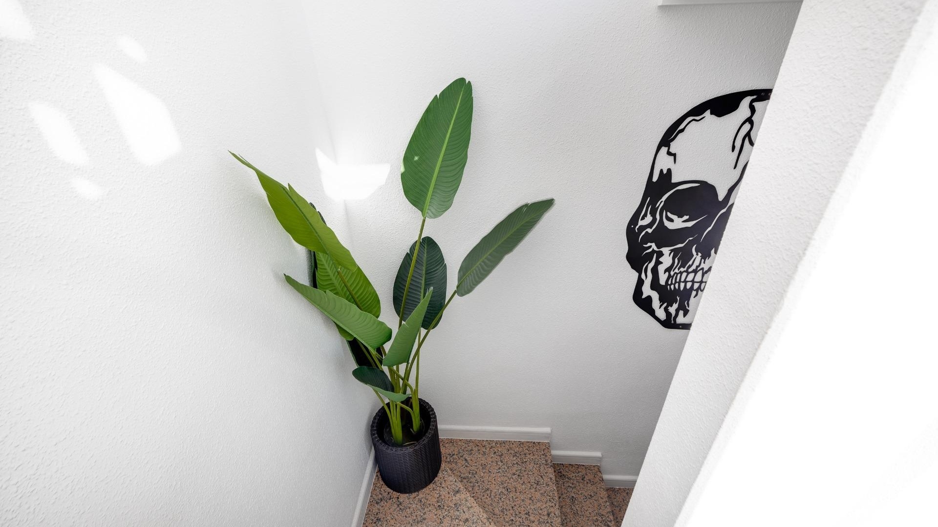 Återförsäljning - Villa - Los Altos - dream hills