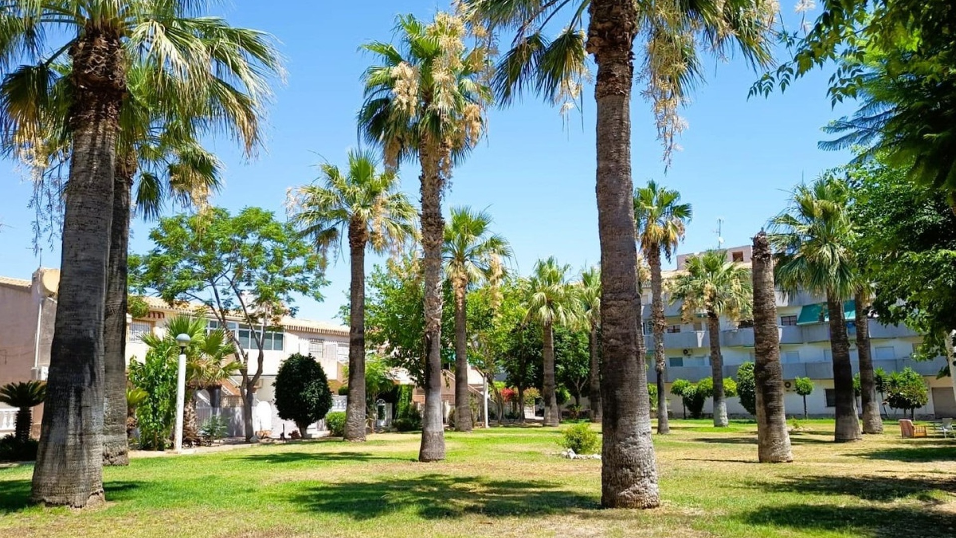 Återförsäljning - Villa - Orihuela - La Regia