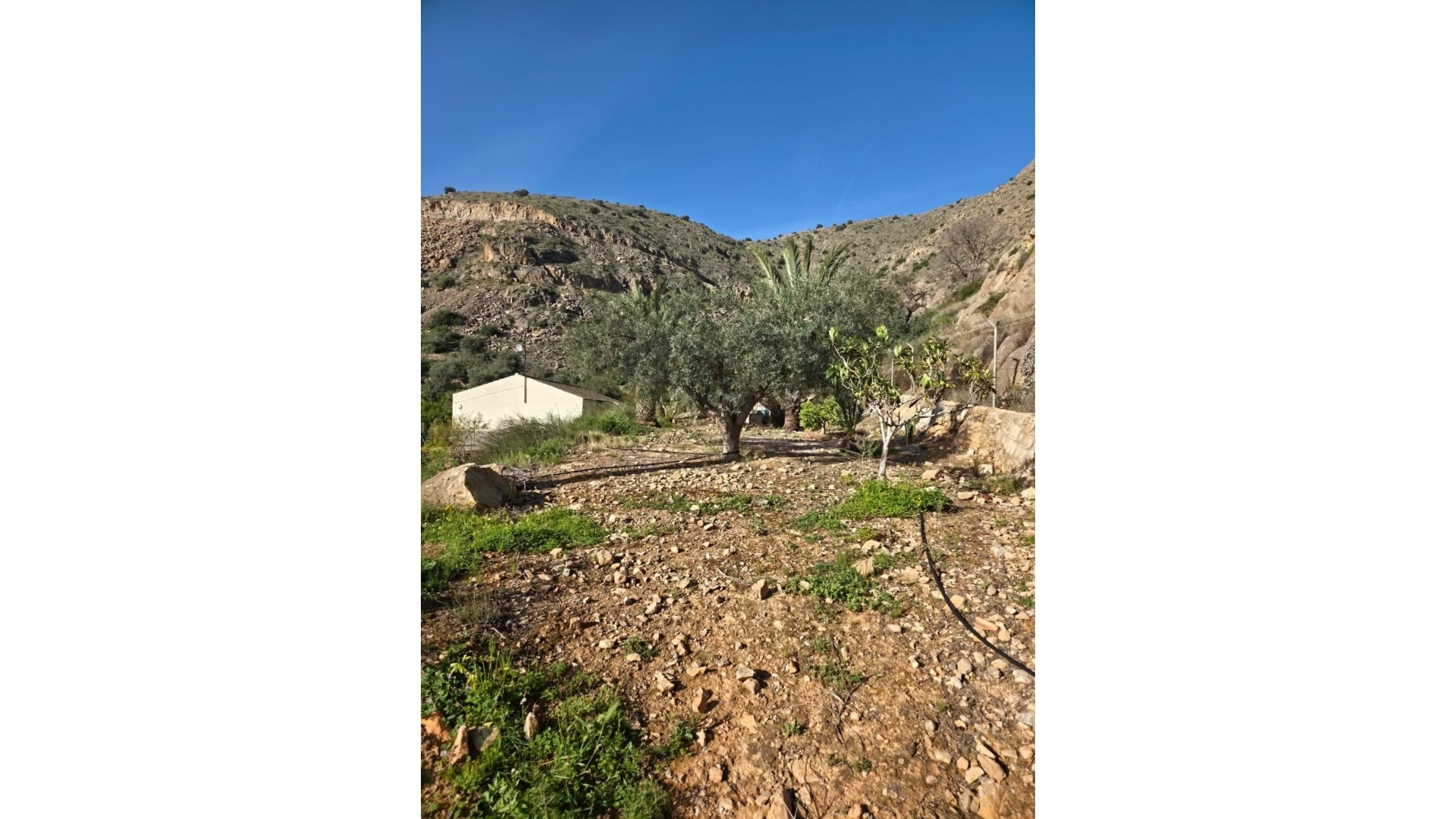 Återförsäljning - Villa - Orihuela - Orihuela Centro