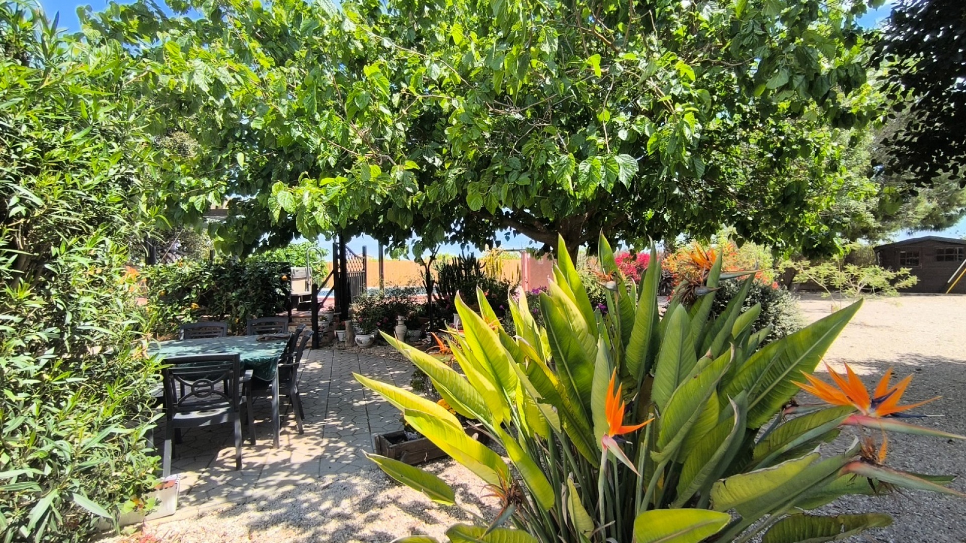 Återförsäljning - Villa - Orihuela - orihuela