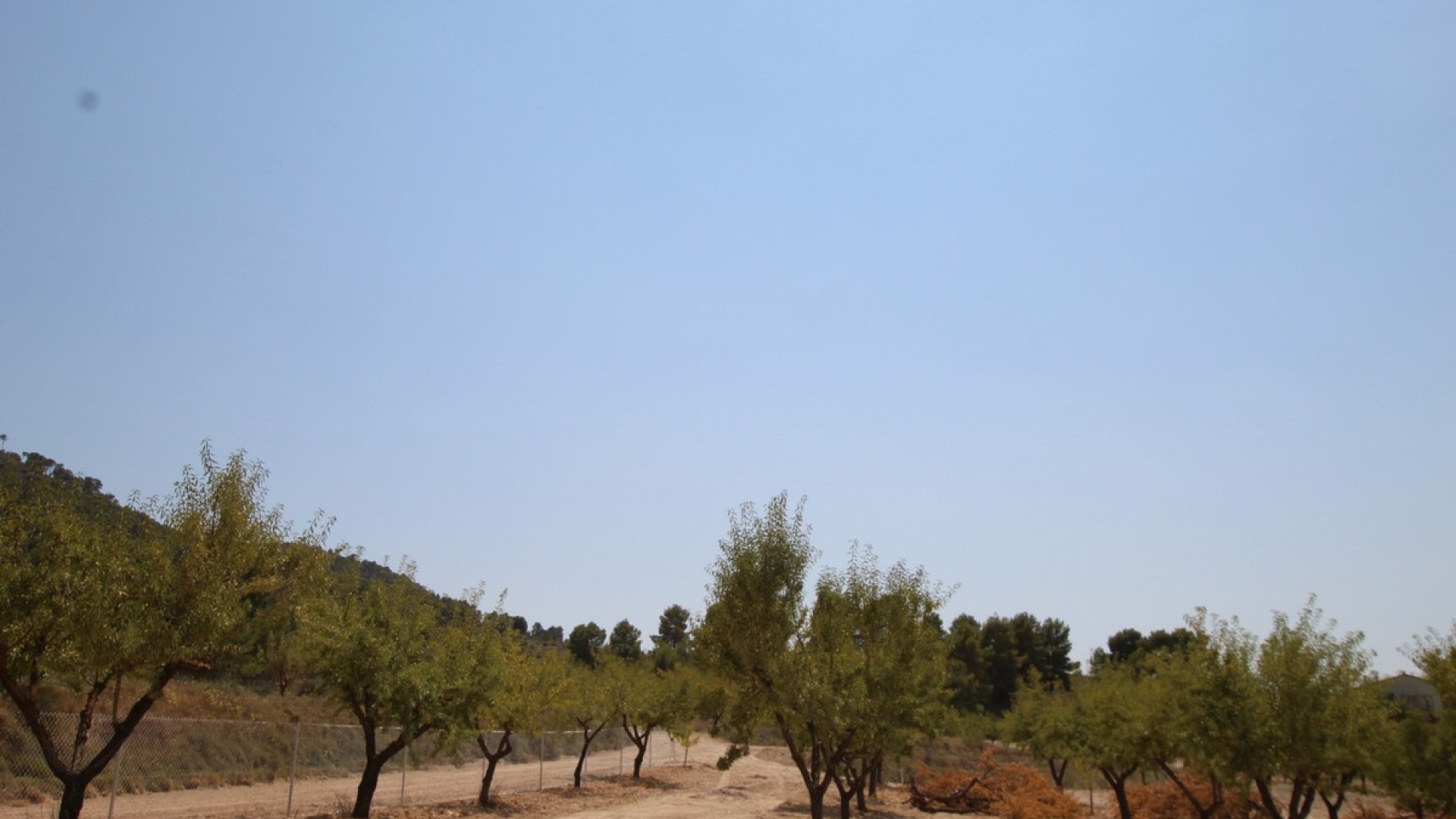 Återförsäljning - Villa - Pinoso - Pinoso Centro