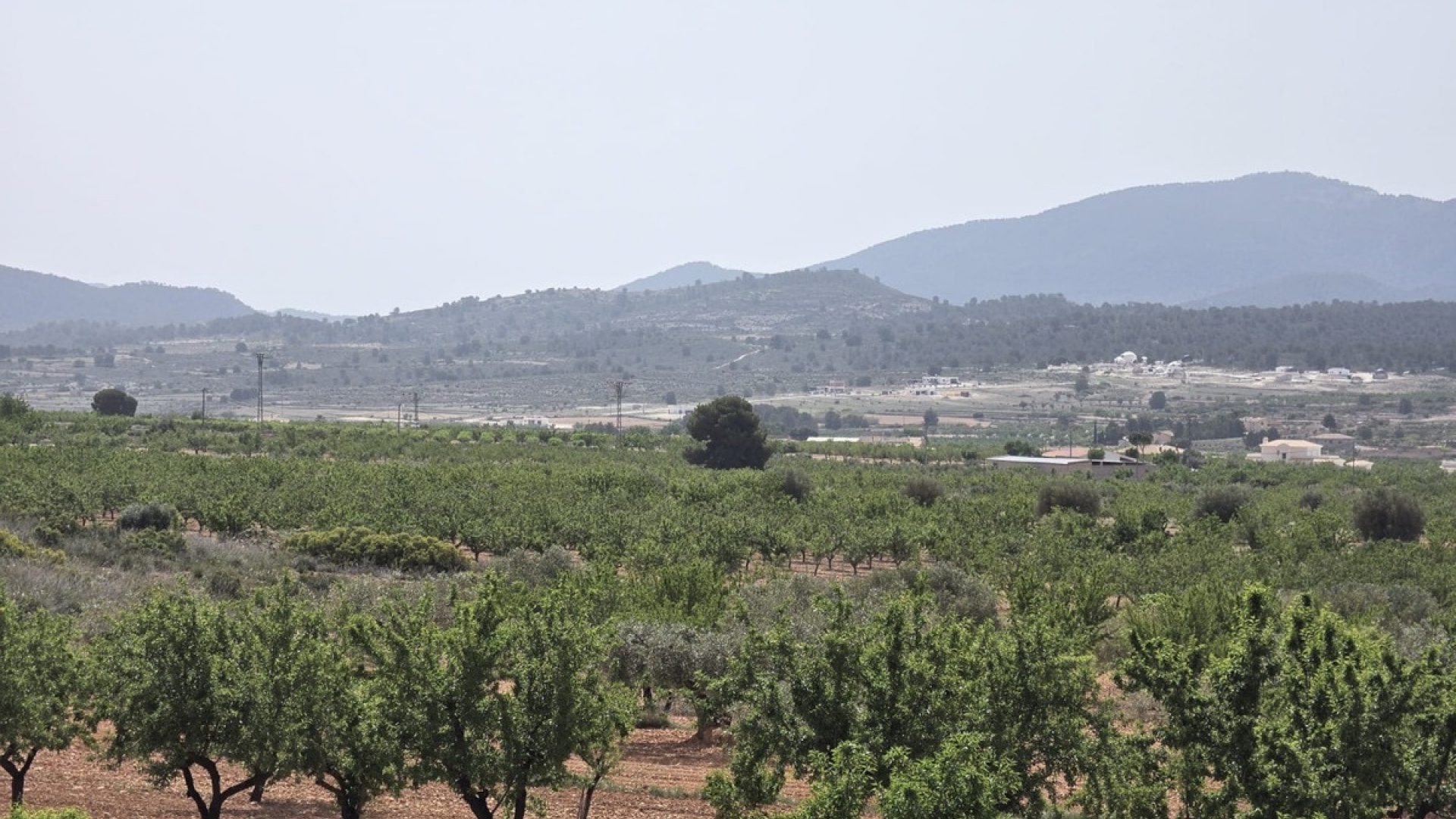 Återförsäljning - Villa - Pinoso - Pinoso Centro
