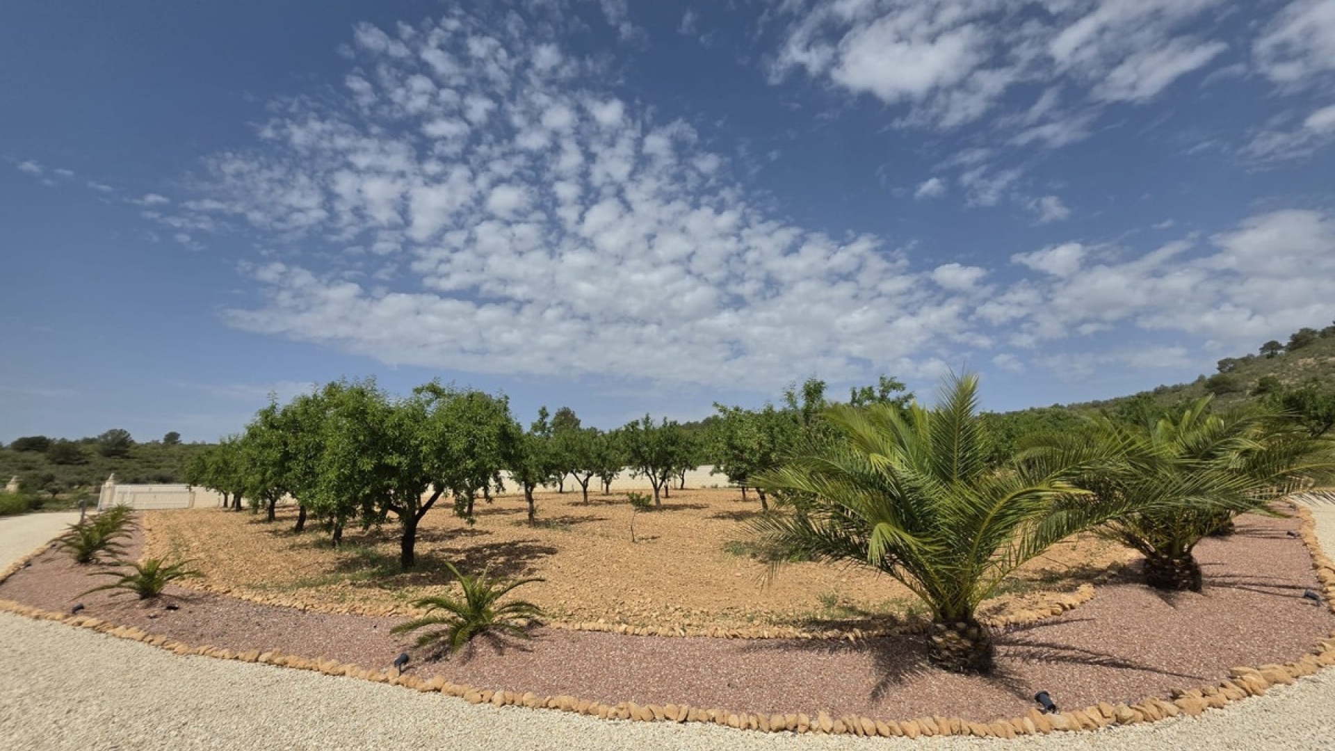 Återförsäljning - Villa - Pinoso - Pinoso Centro