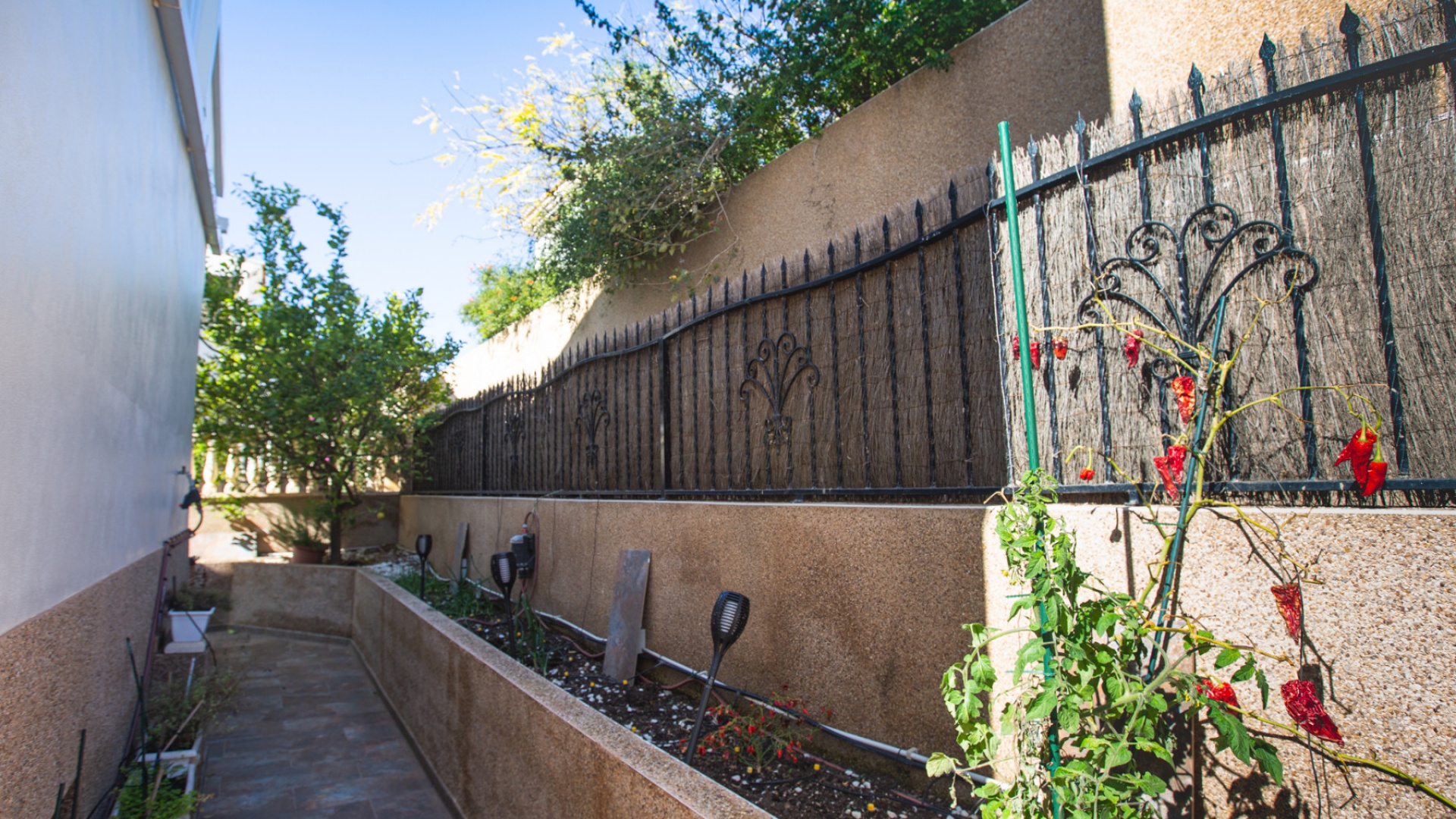 Återförsäljning - Villa - Punta Prima - La Cinuelica