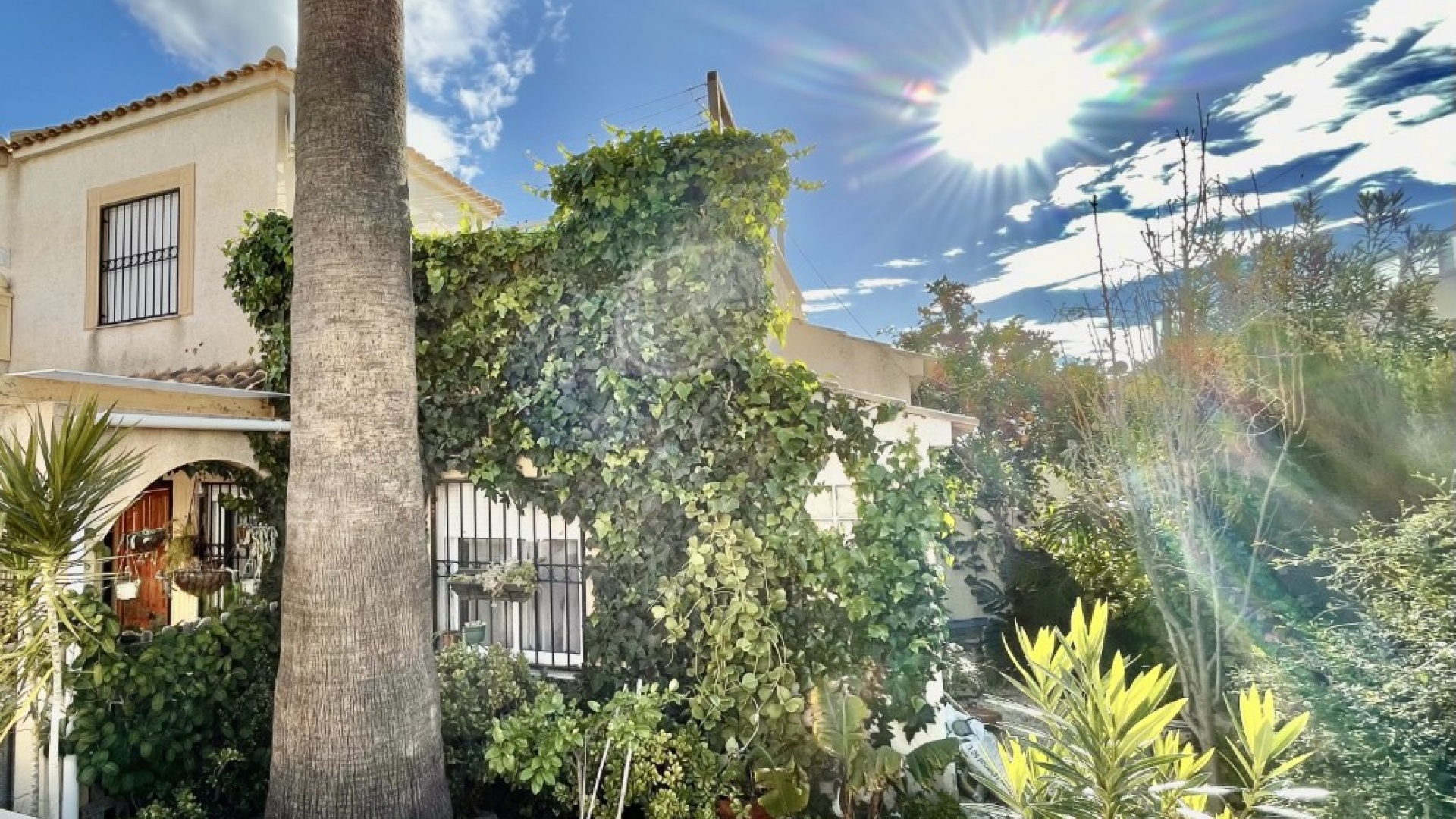 Återförsäljning - Villa - Punta Prima - serena