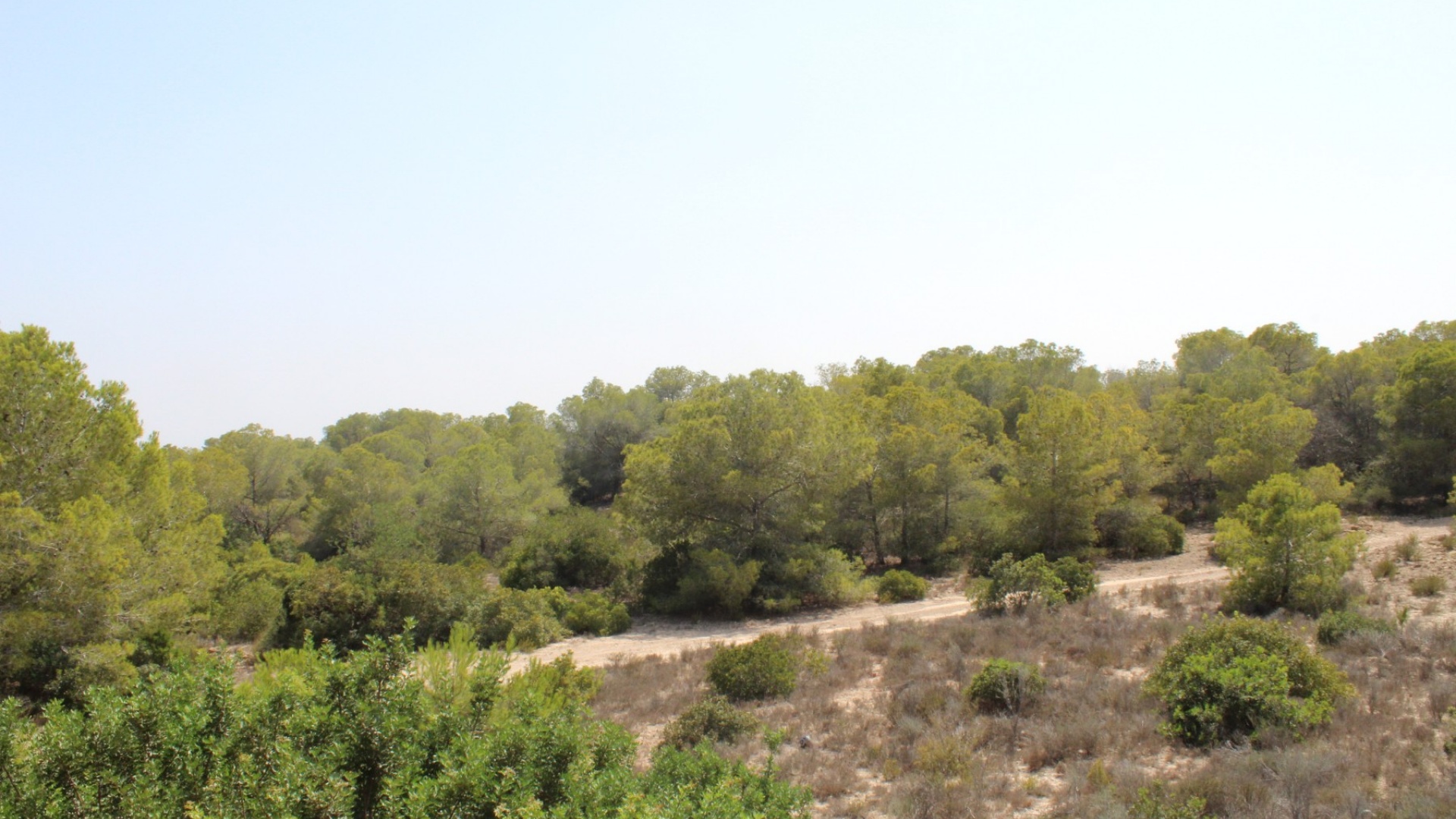 Återförsäljning - Villa - San Miguel de Salinas - San Miguel De Salinas