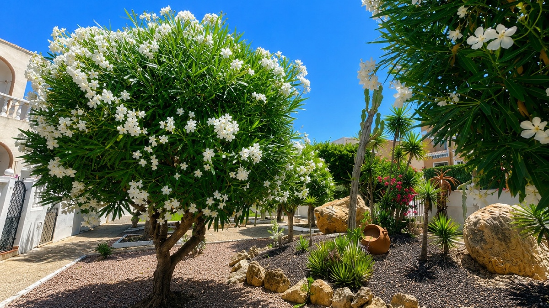 Återförsäljning - Villa - Torrevieja - La Mata