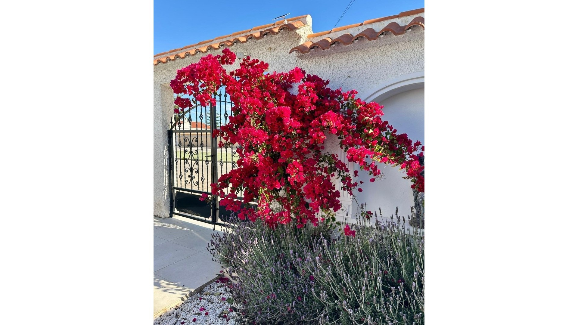 Återförsäljning - Villa - Torrevieja - san luis