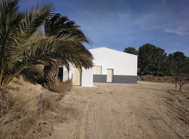 Commercial - Resale - Yecla - Yecla Centro