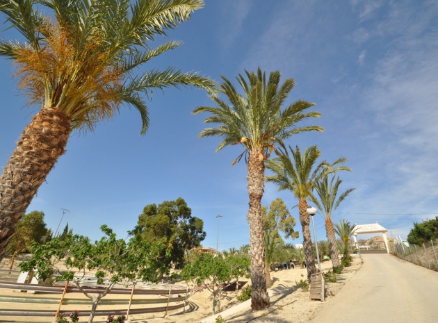 Commercial - Revente - Abanilla - Abanilla Centro