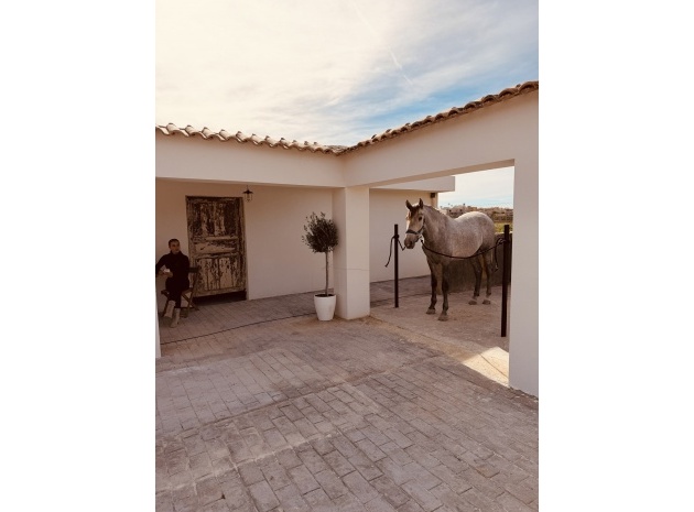 Country Property - Återförsäljning - Algorfa - Algorfa Centro