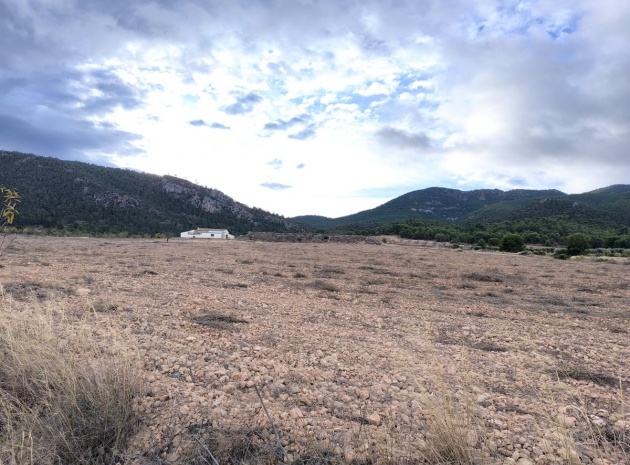 Country Property - Resale - Yecla - CSP-52177