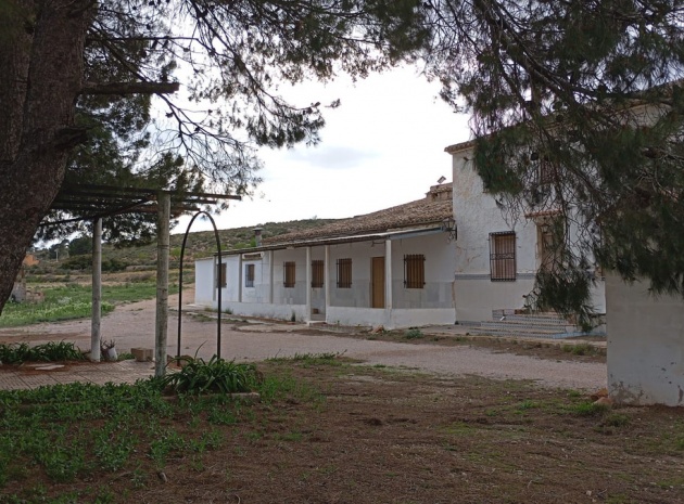 Country Property - Resale - Yecla - Yecla Centro
