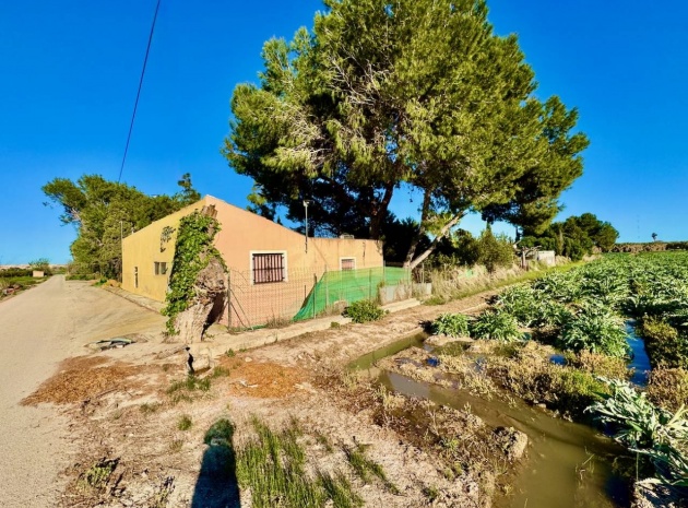 Country Property - Revente - Guardamar del Segura - Guardamar del Segura